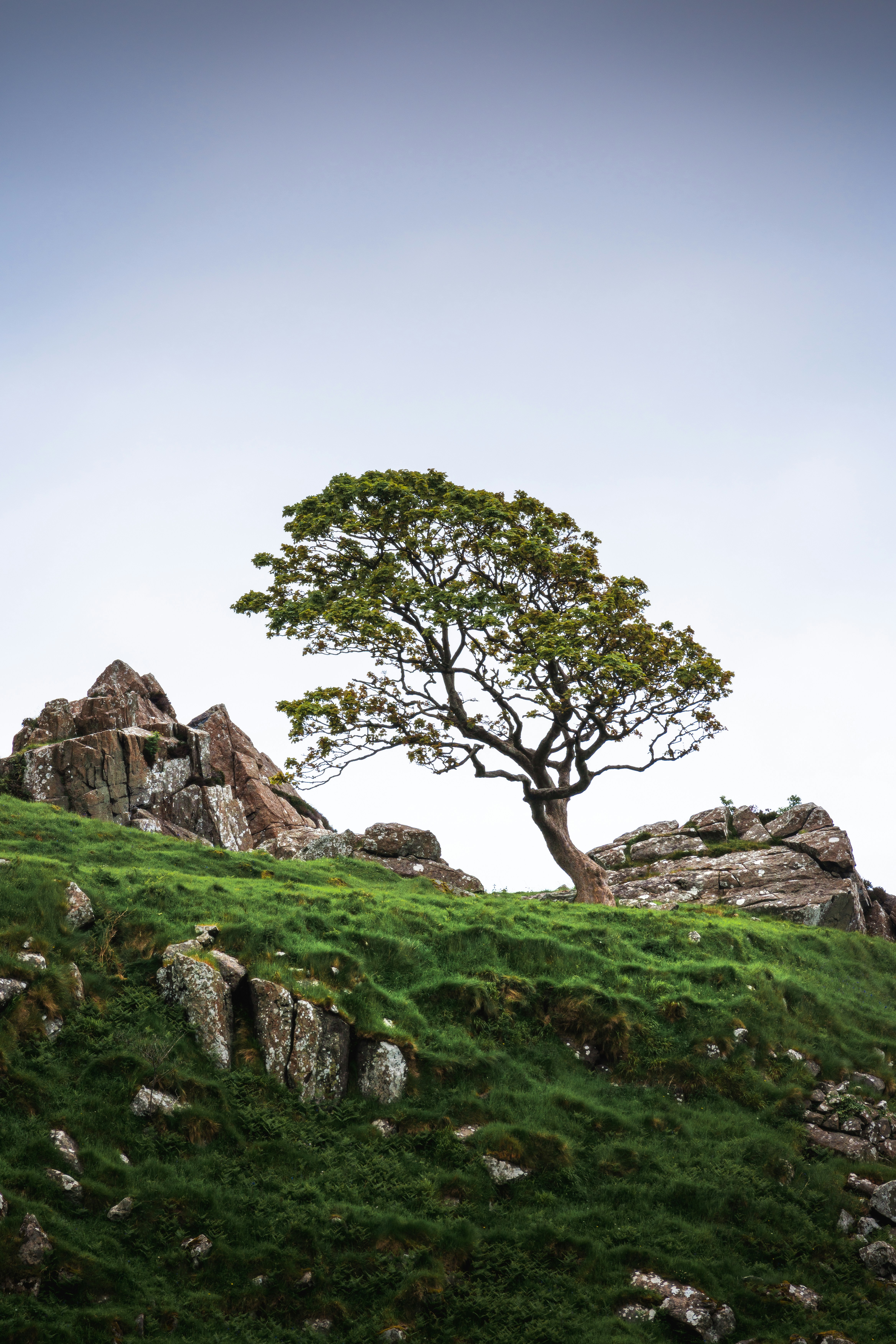 Photo by beckerworks