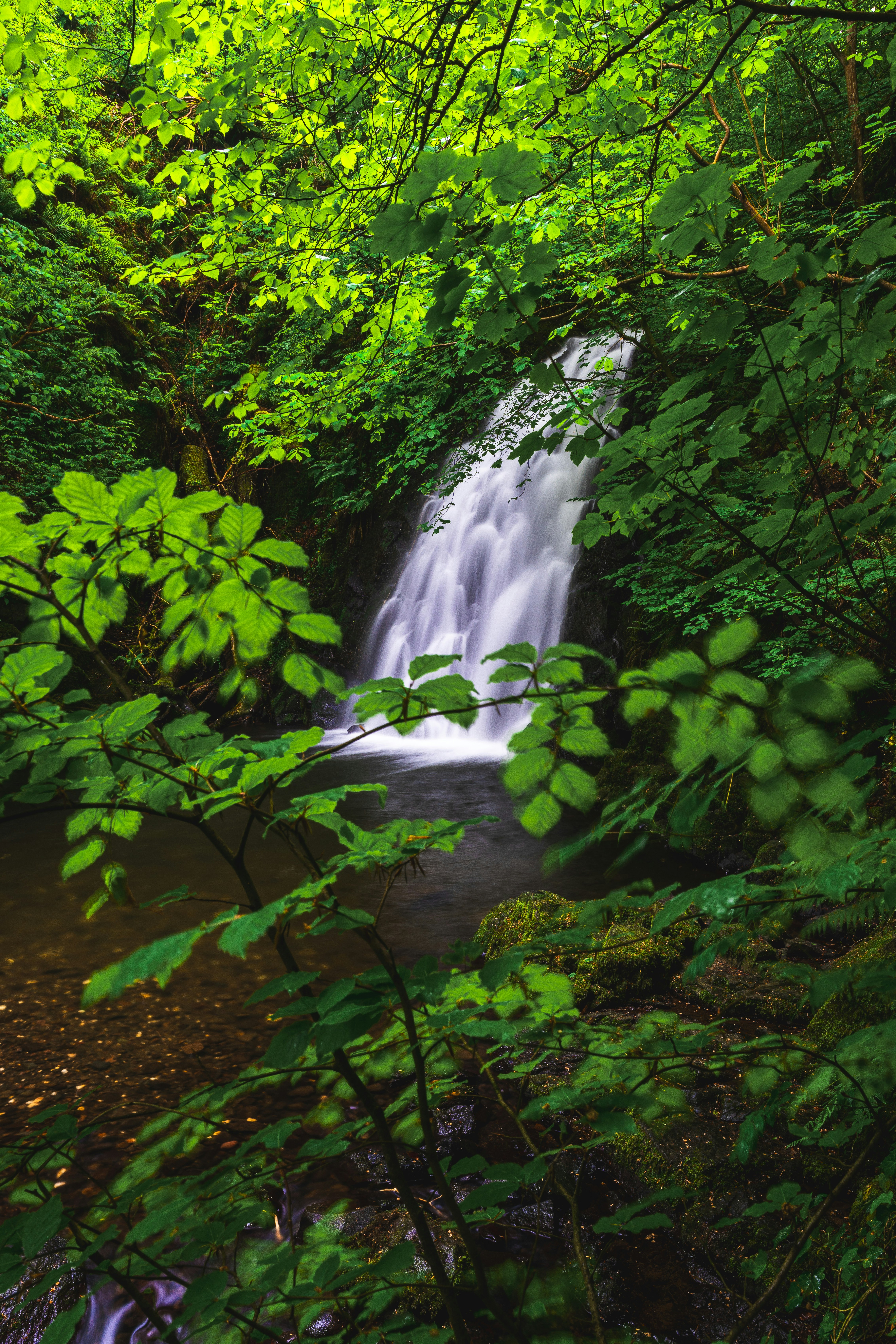 Photo by beckerworks