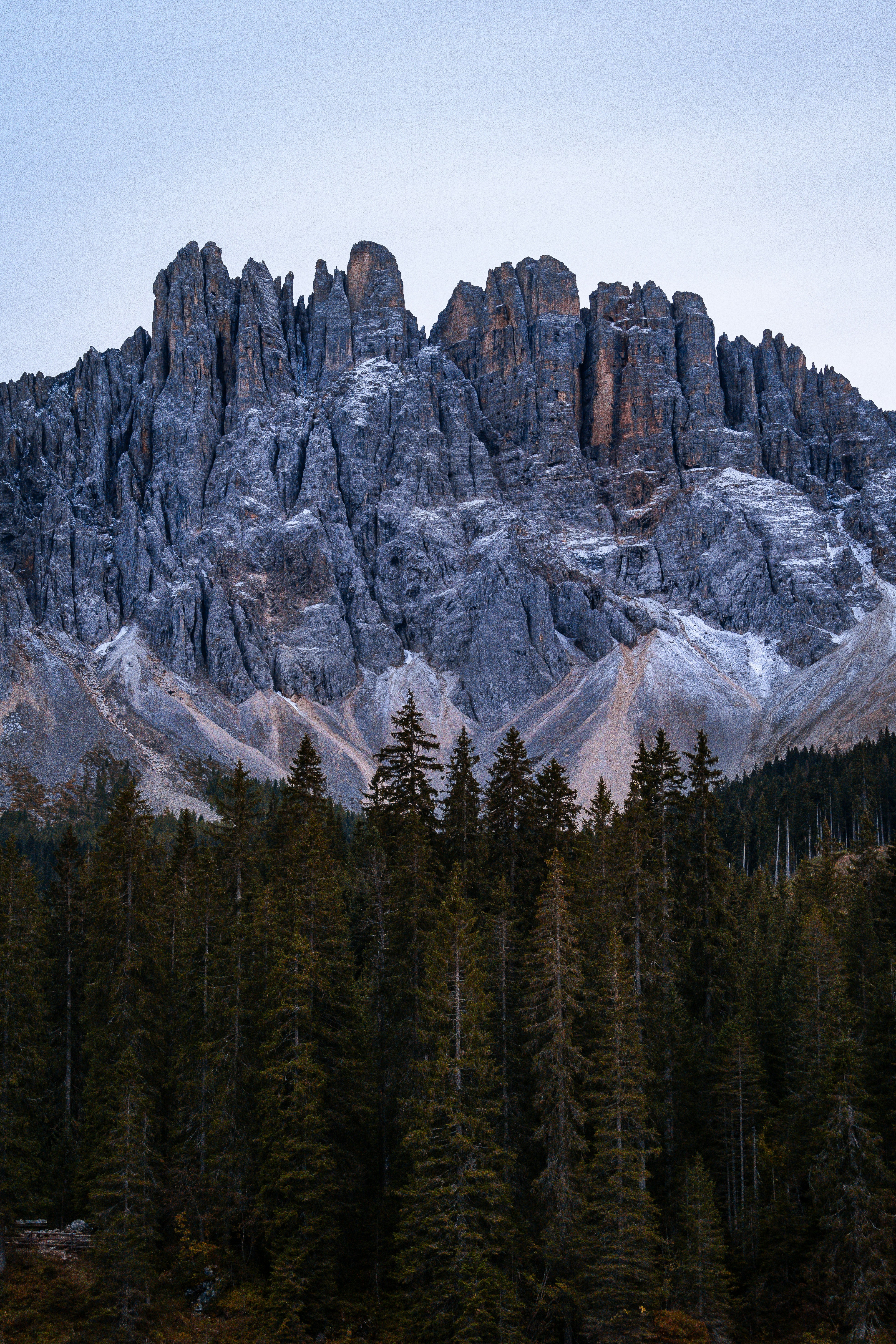 A large mountain with a forest below it