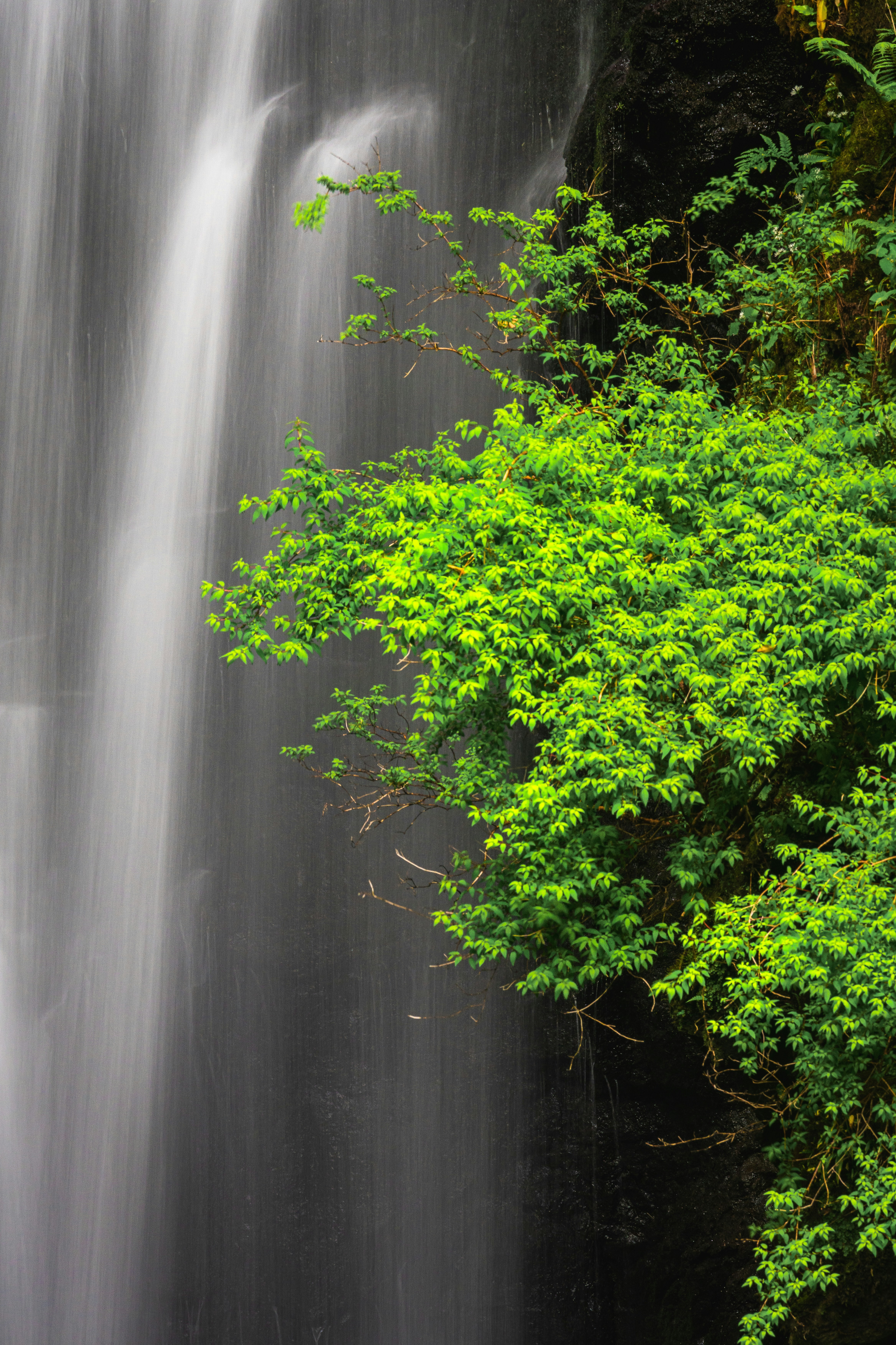 Photo by beckerworks