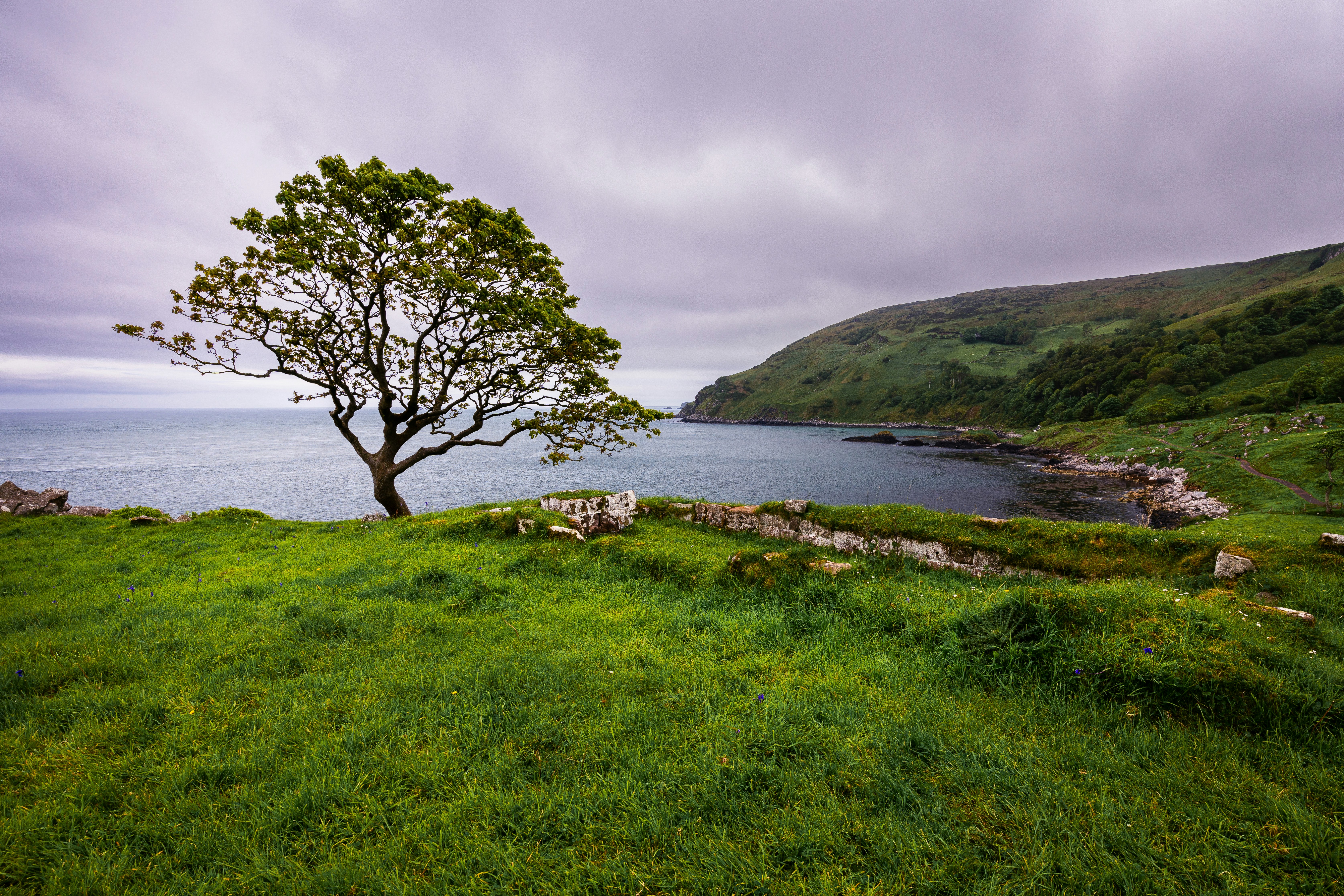 Photo by beckerworks