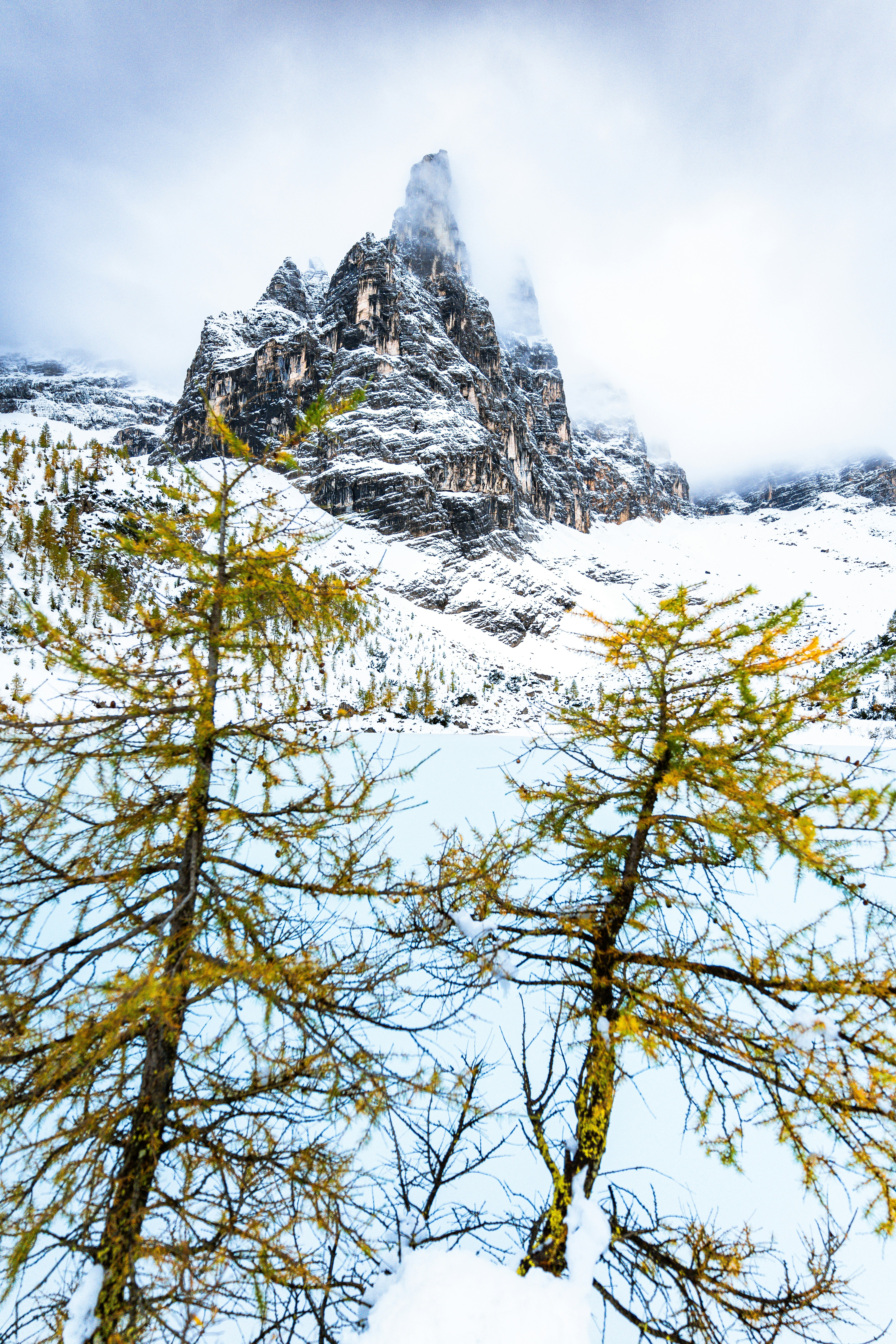 A snow covered mountain with trees in the foreground