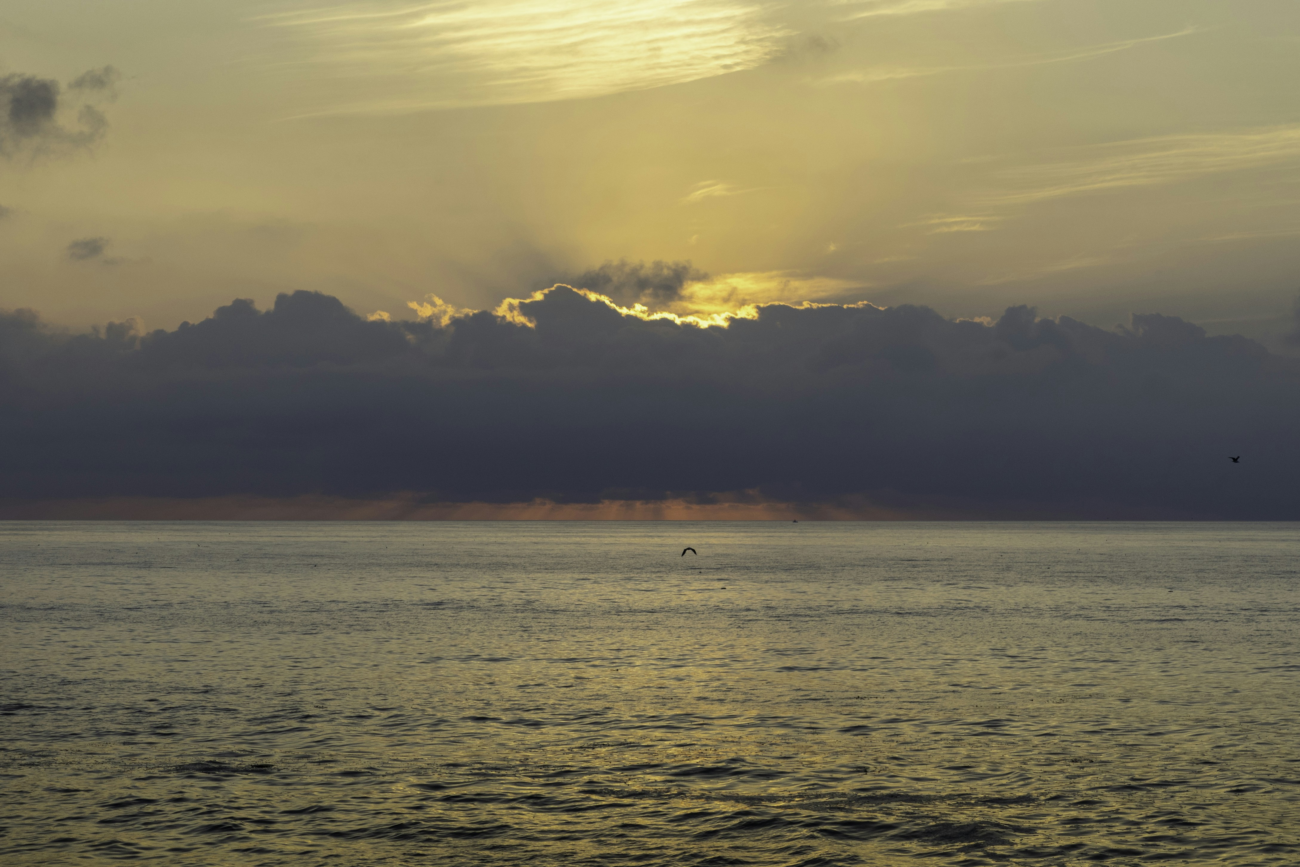 Photo by thedailystruggles