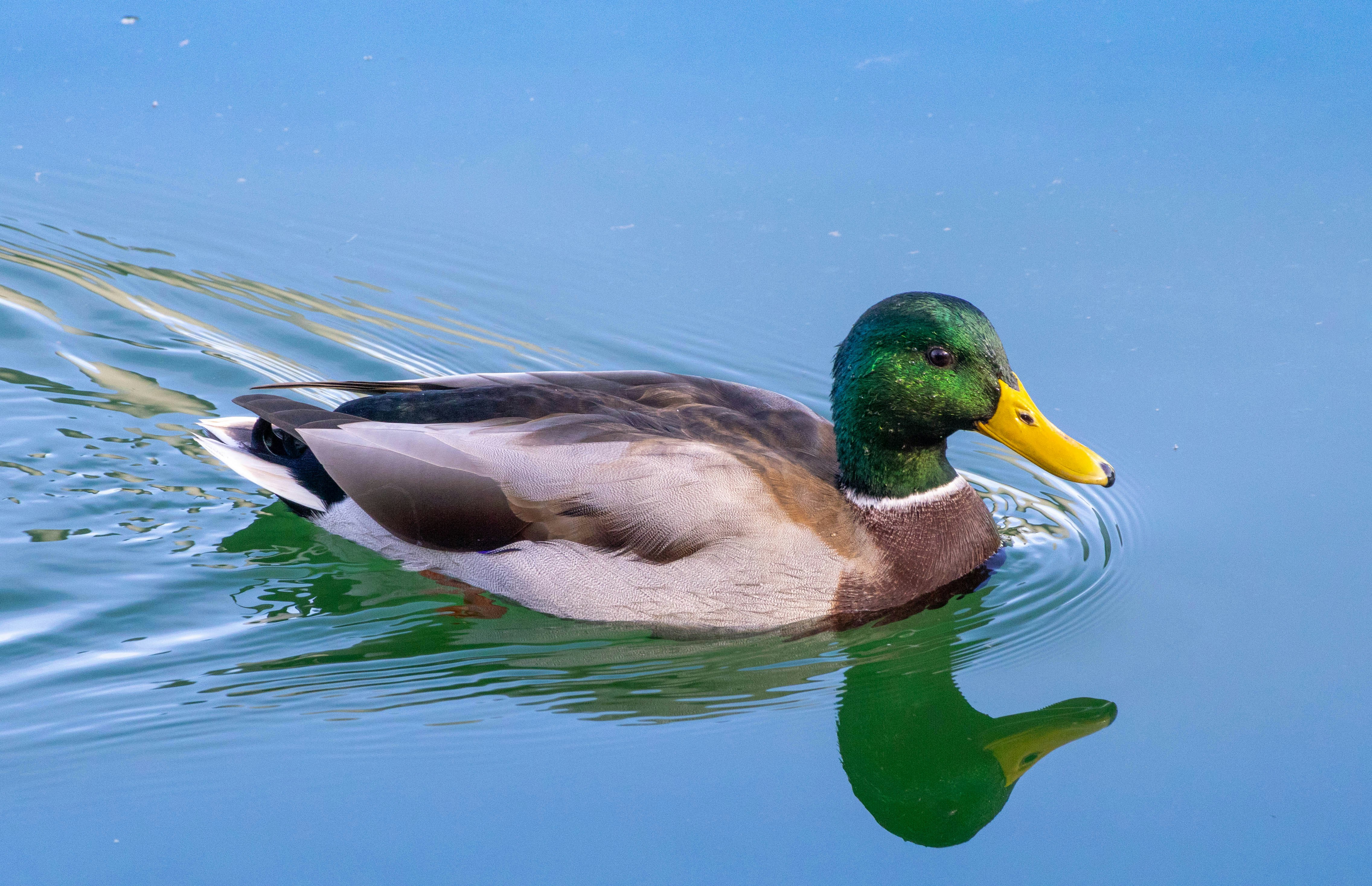 Photo by thedailystruggles