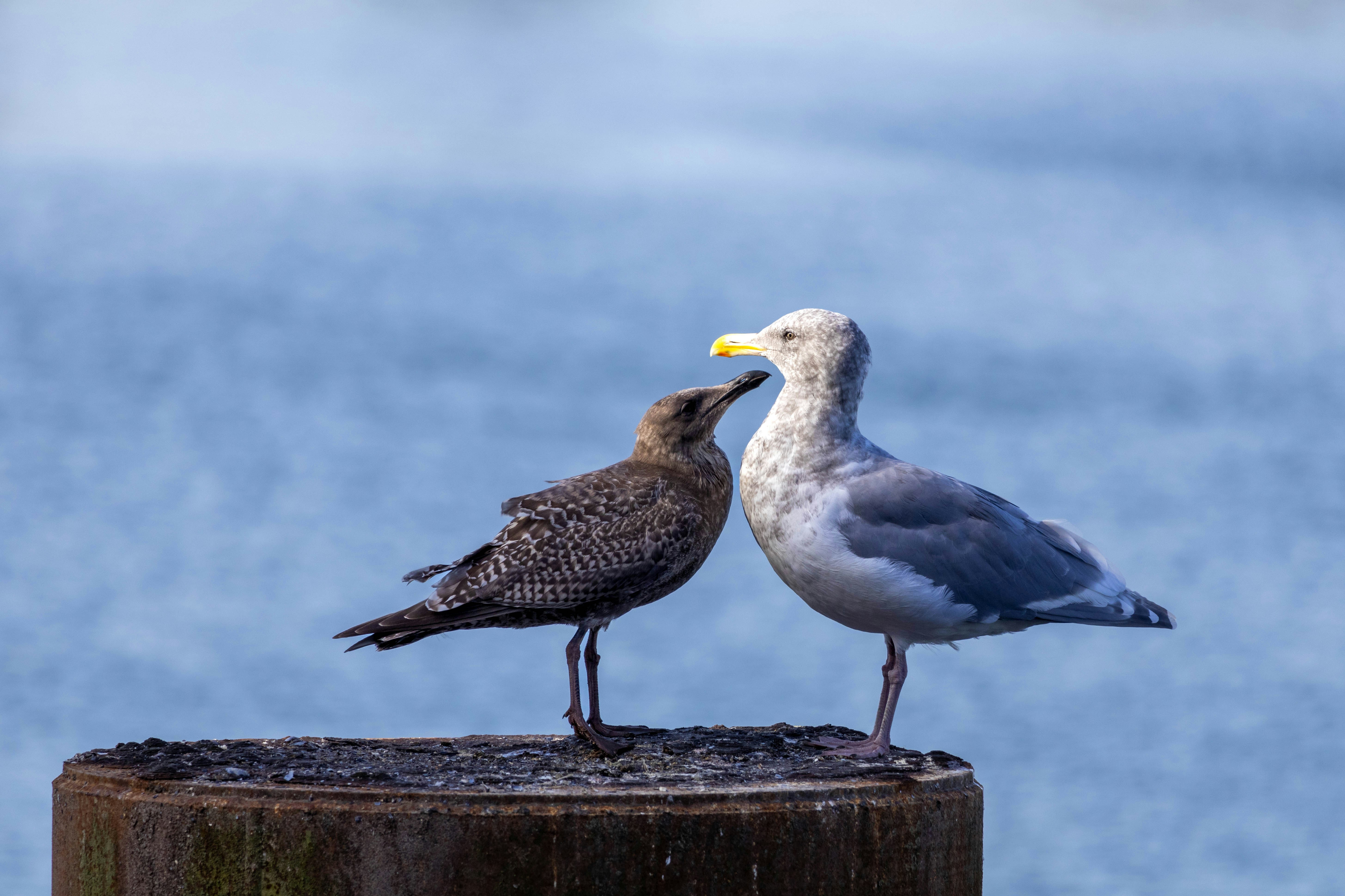 Photo by thedailystruggles