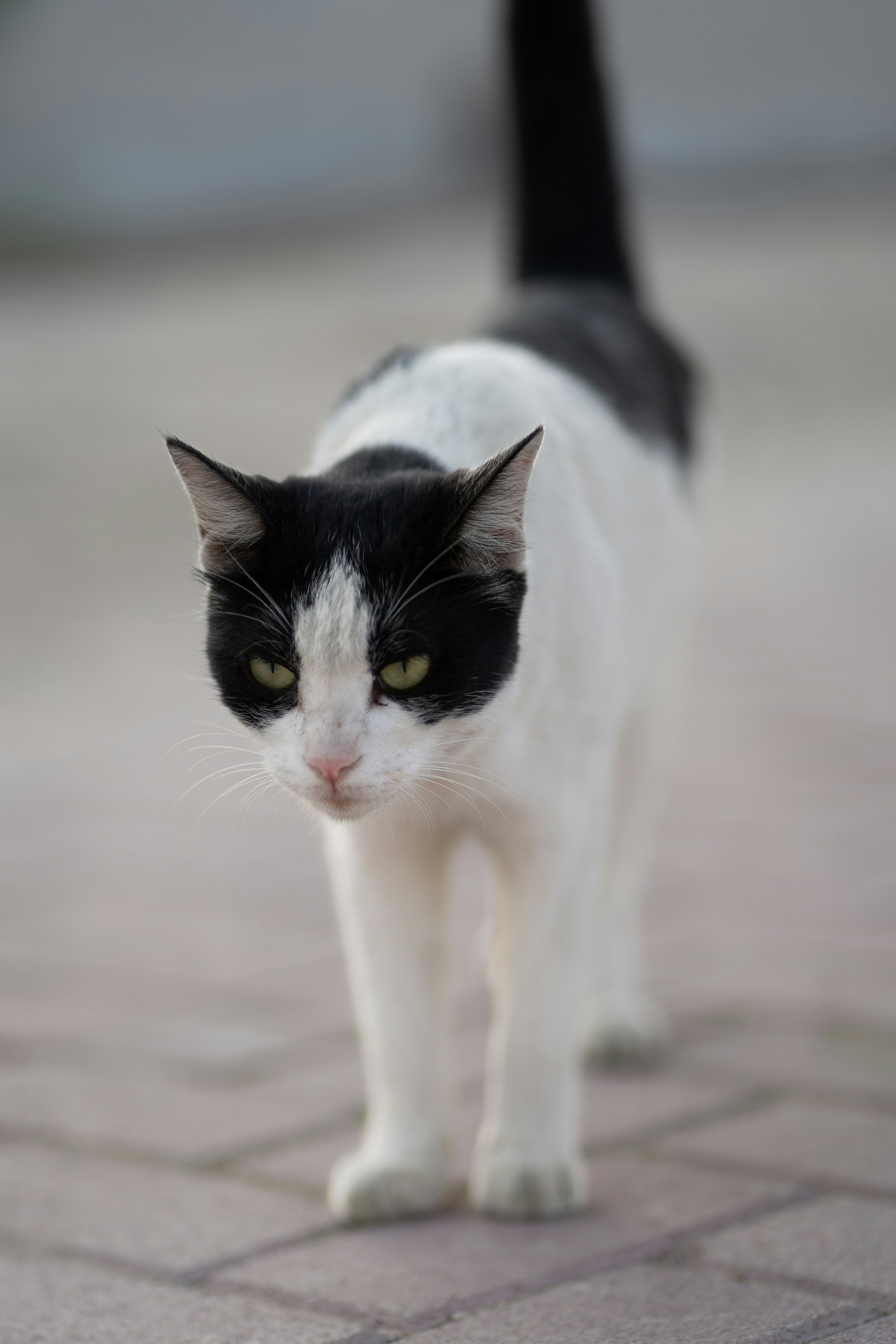 Independent by Nature (image credits: unsplash)