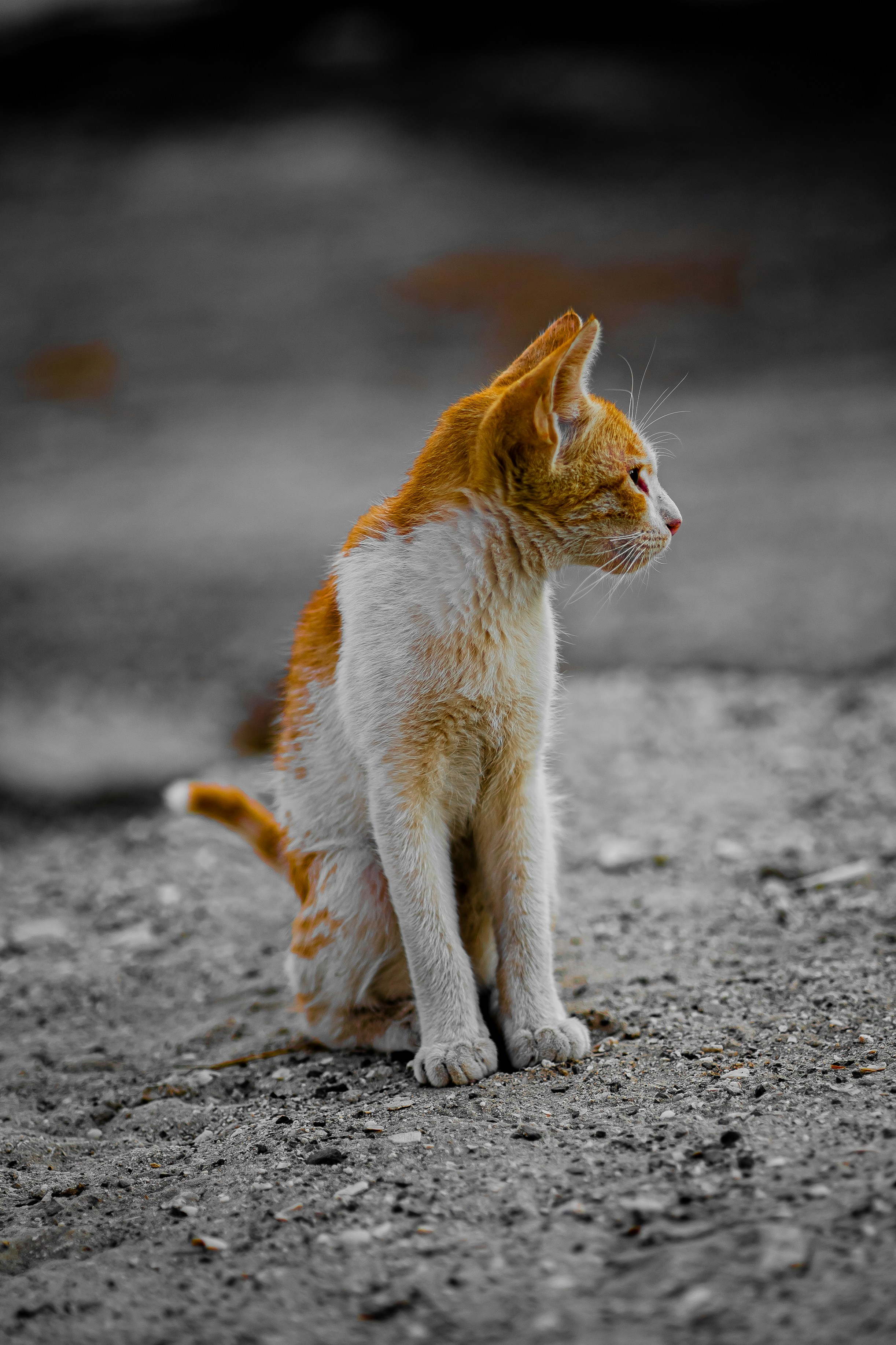 No Need for Constant Attention (image credits: unsplash)