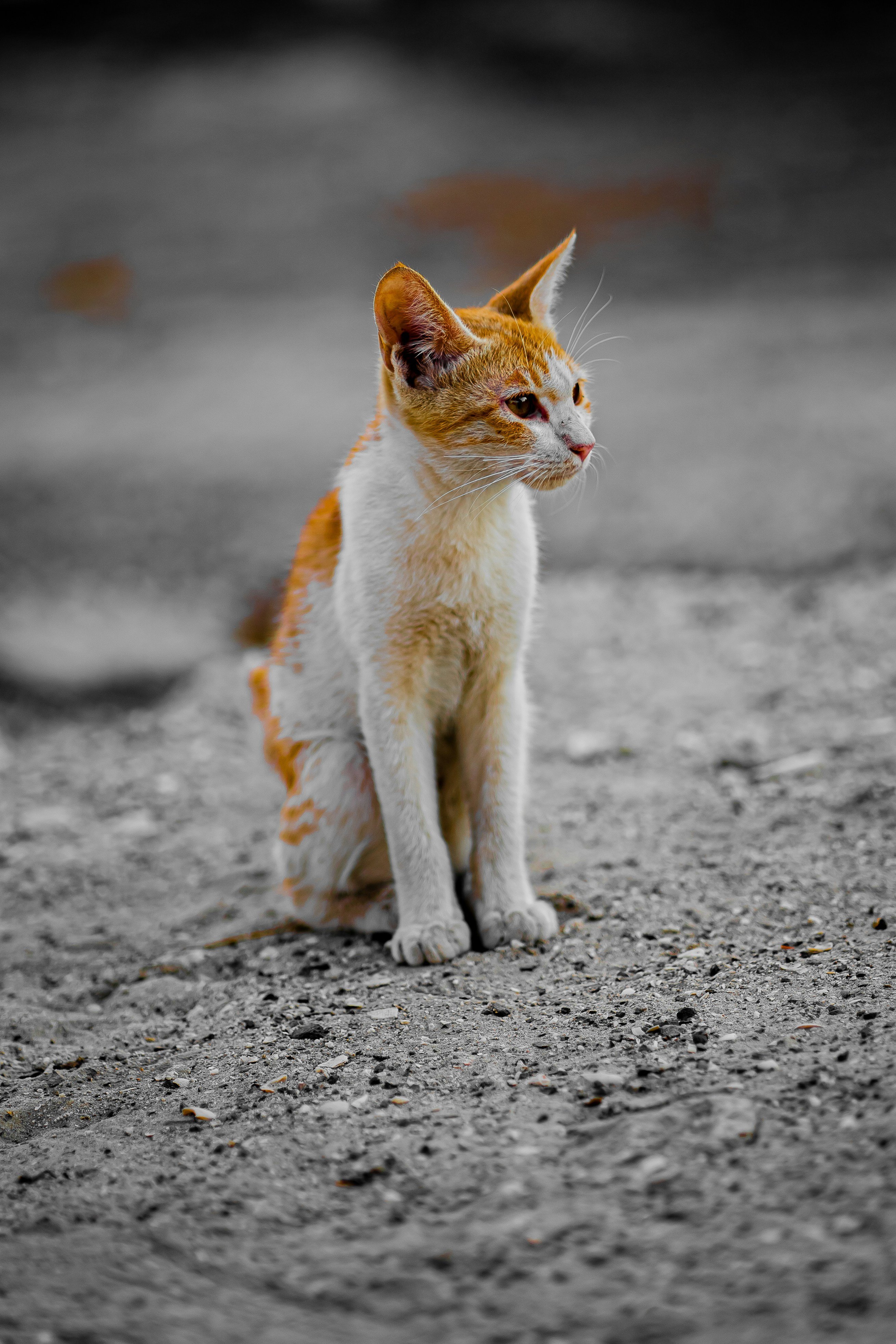 Demonstrating Resilience After Trauma or Change (image credits: unsplash)