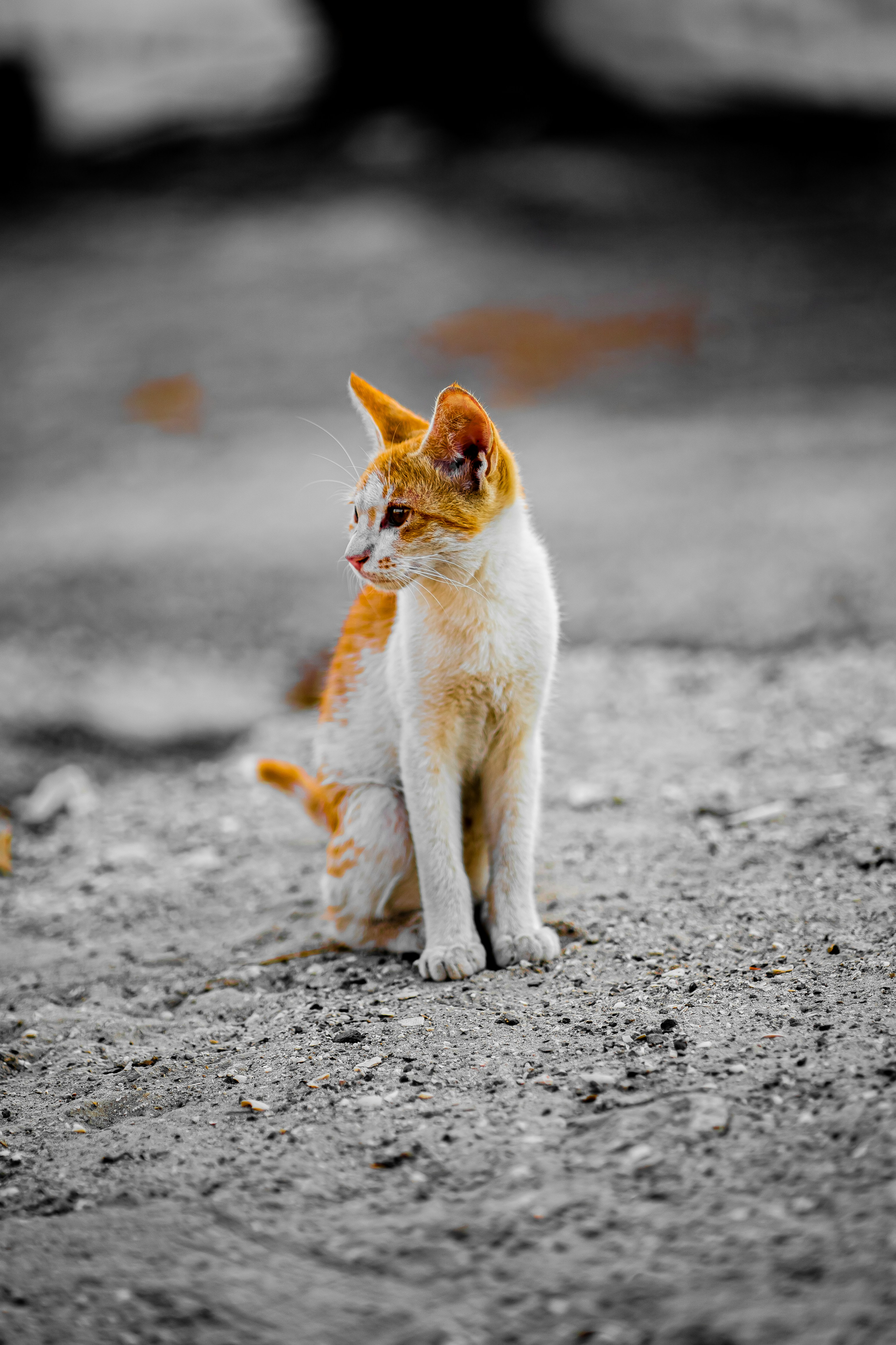 The Power of Patience and Consistency (image credits: unsplash)