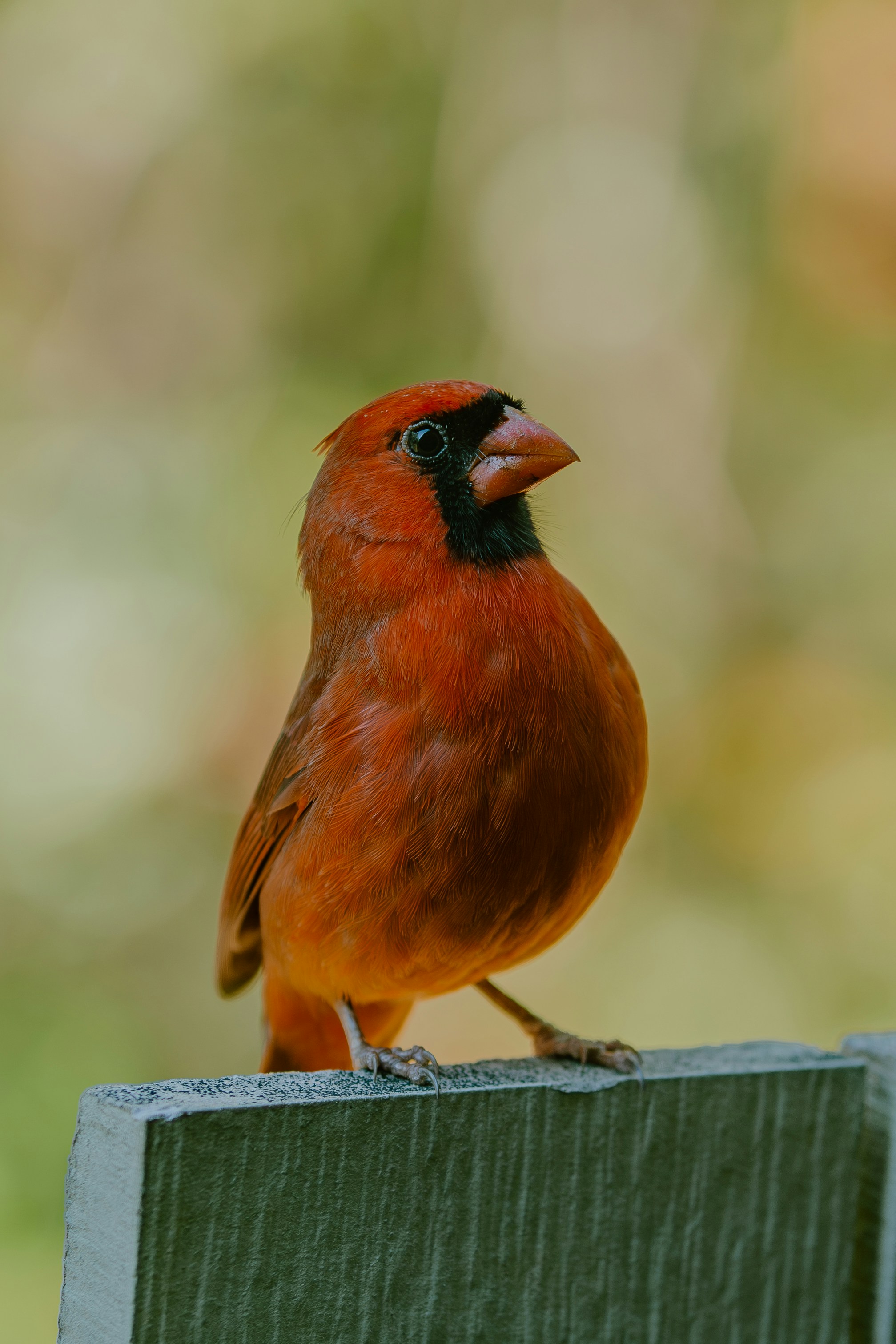 Photo by joseph_royer