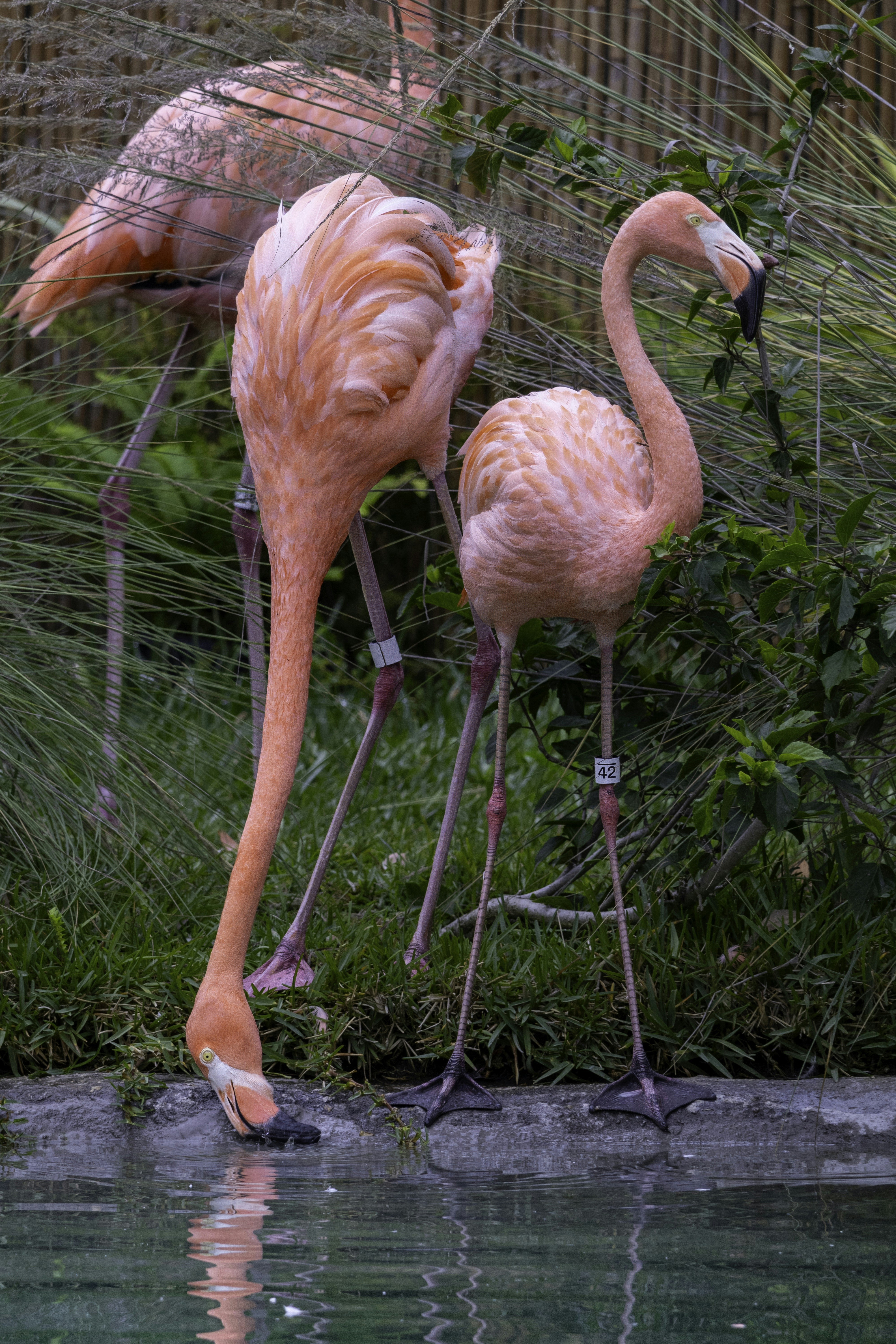 Photo by thedailystruggles