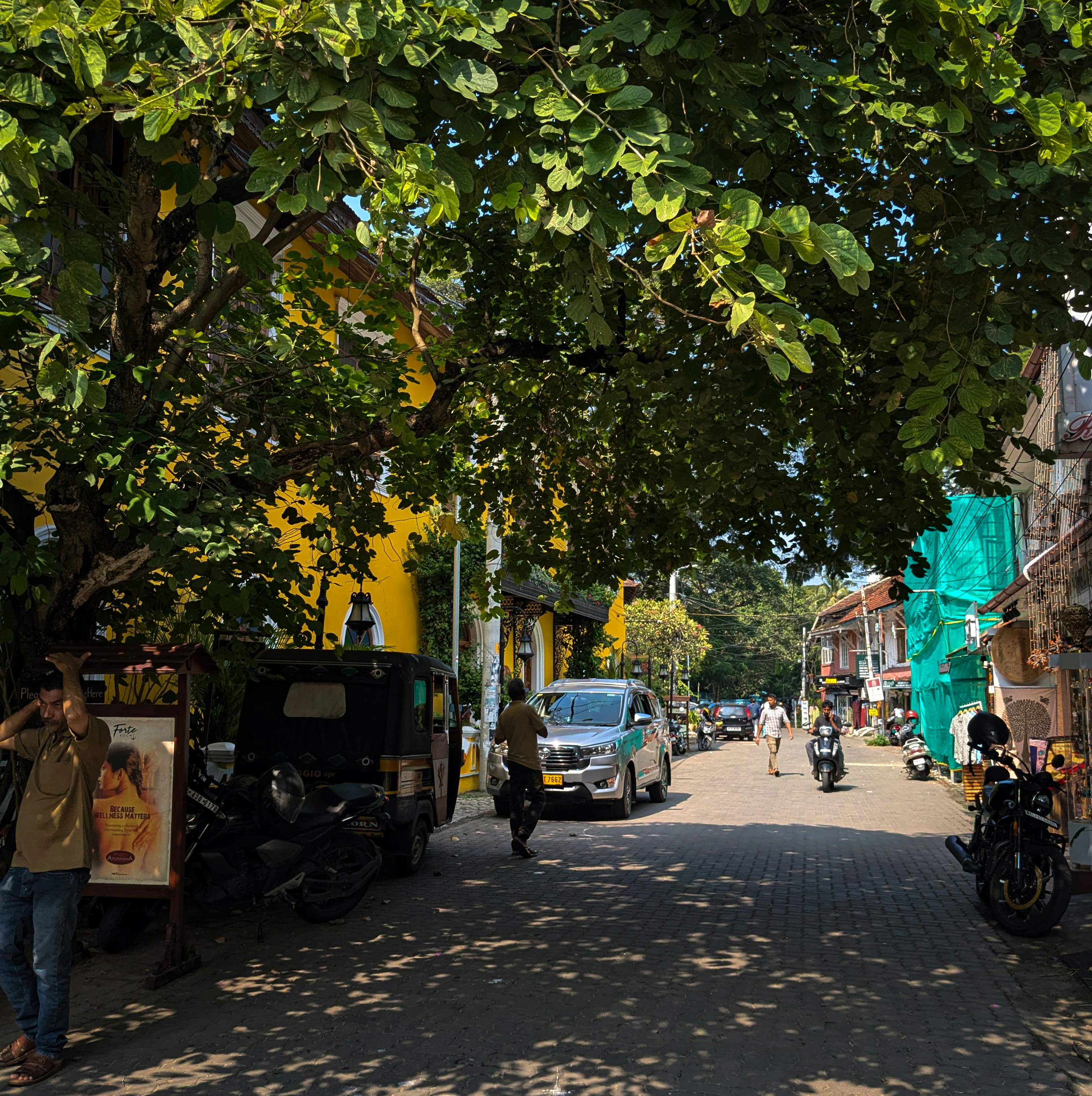 A street lined with parked motorcycles and trees