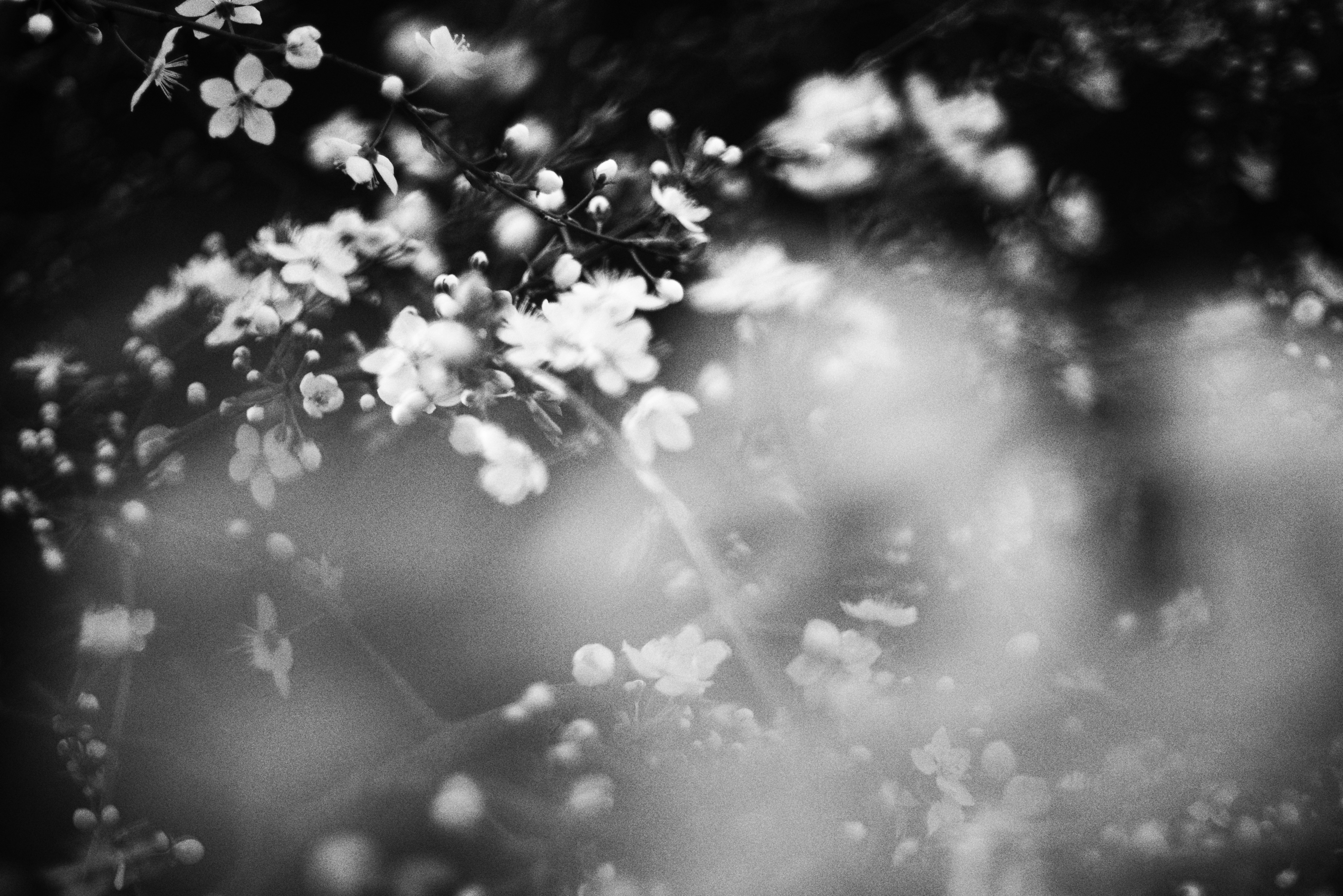 Photo by cherstve_pechivo