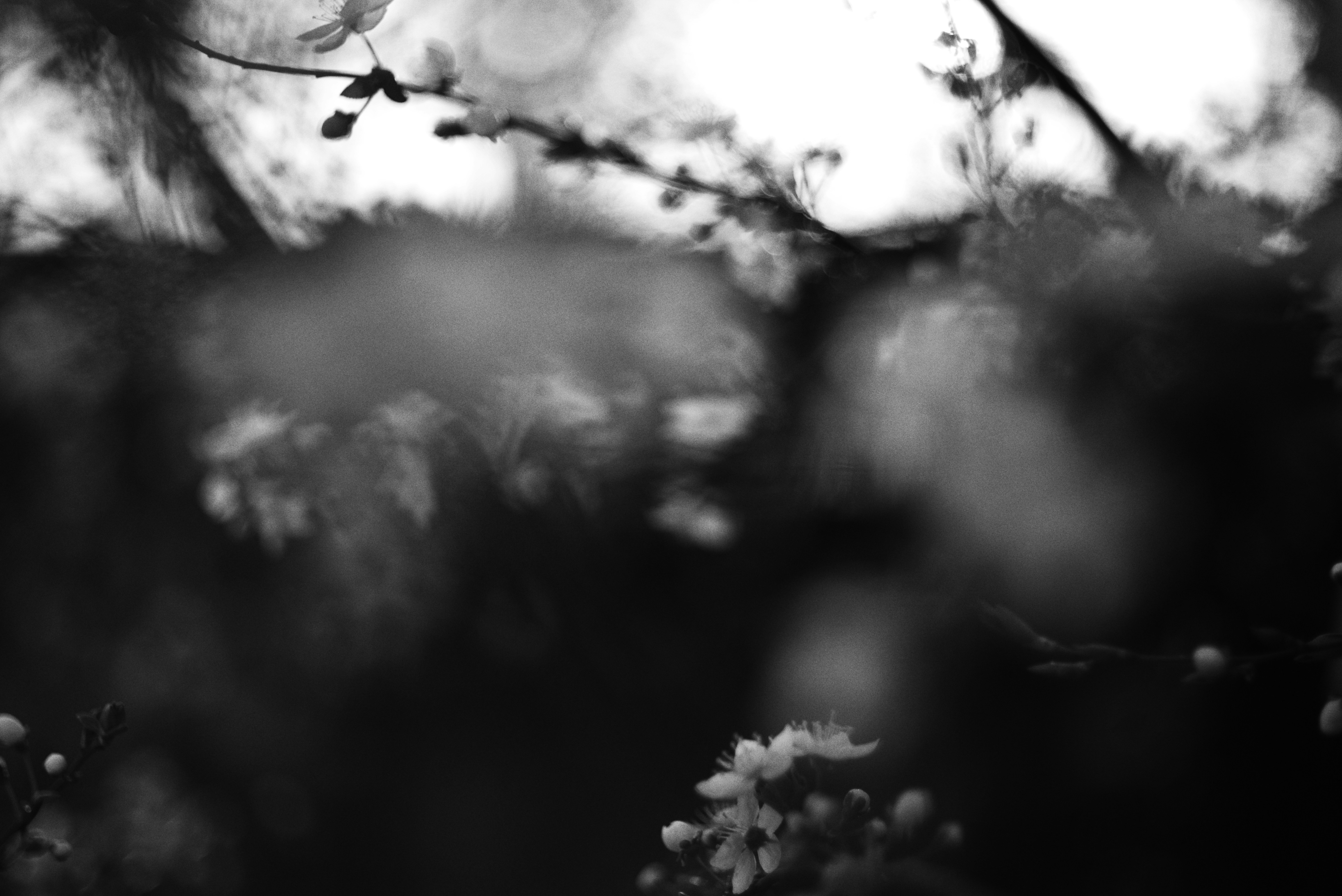 Photo by cherstve_pechivo