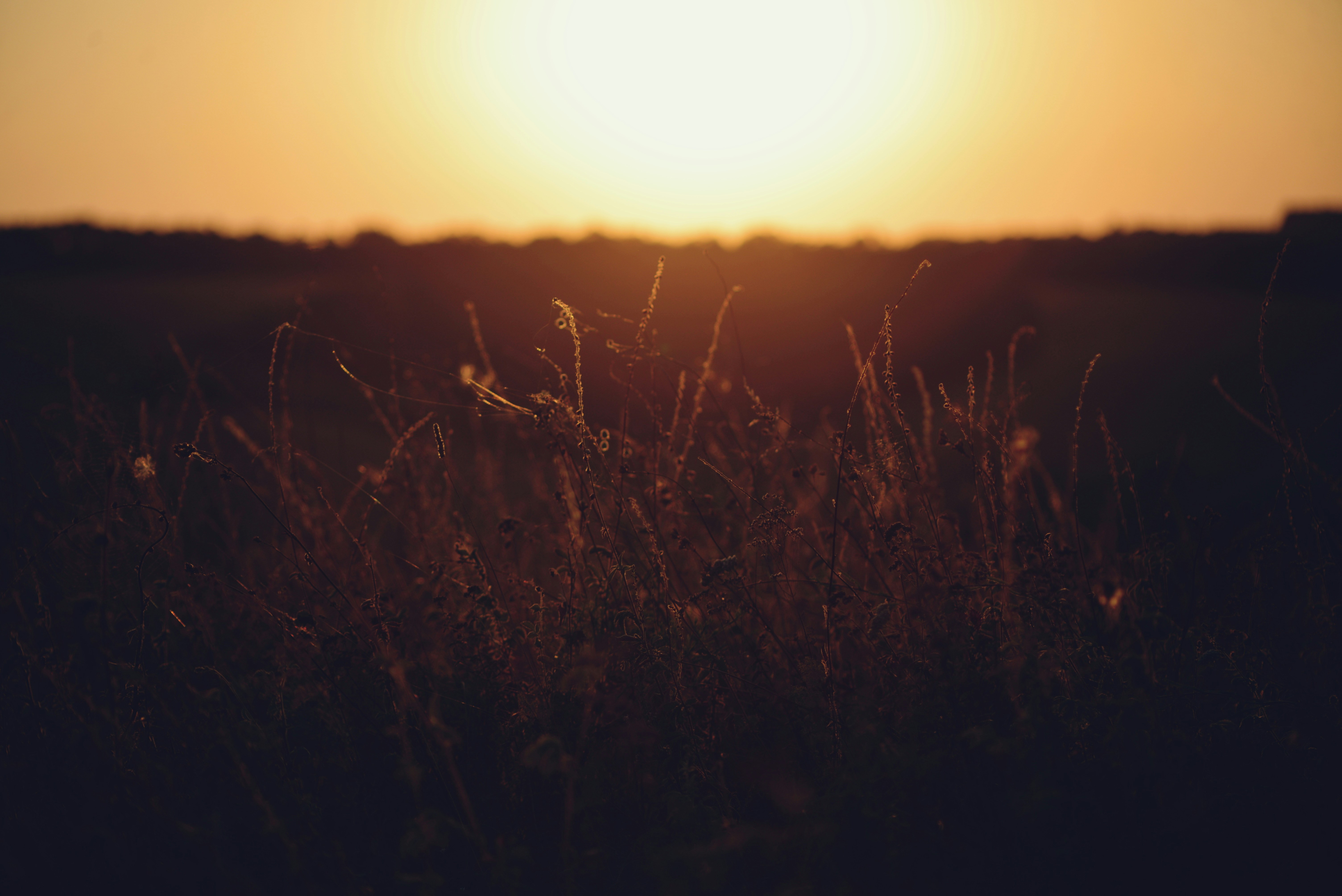 Photo by cherstve_pechivo