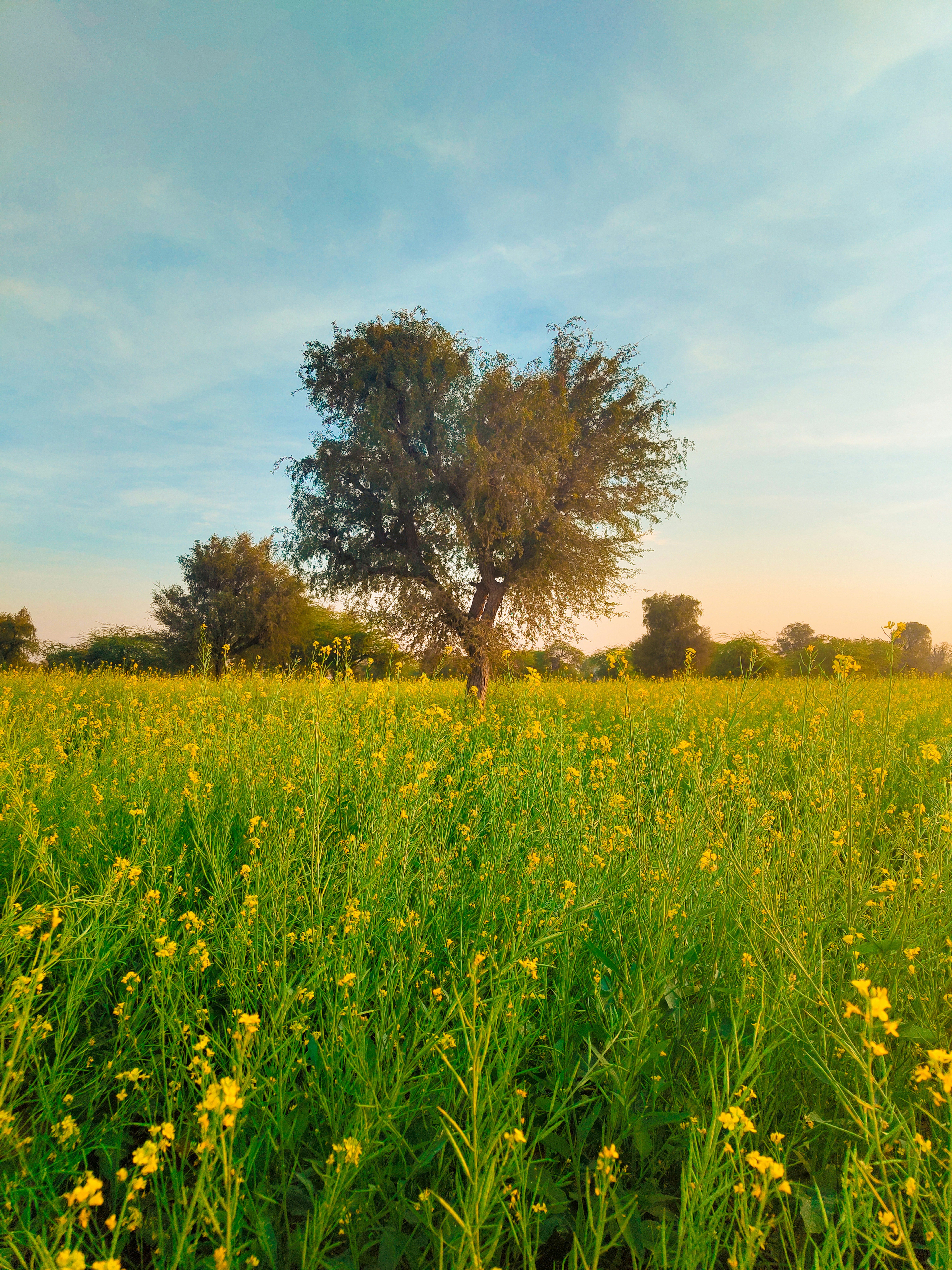 Photo by forever_knight