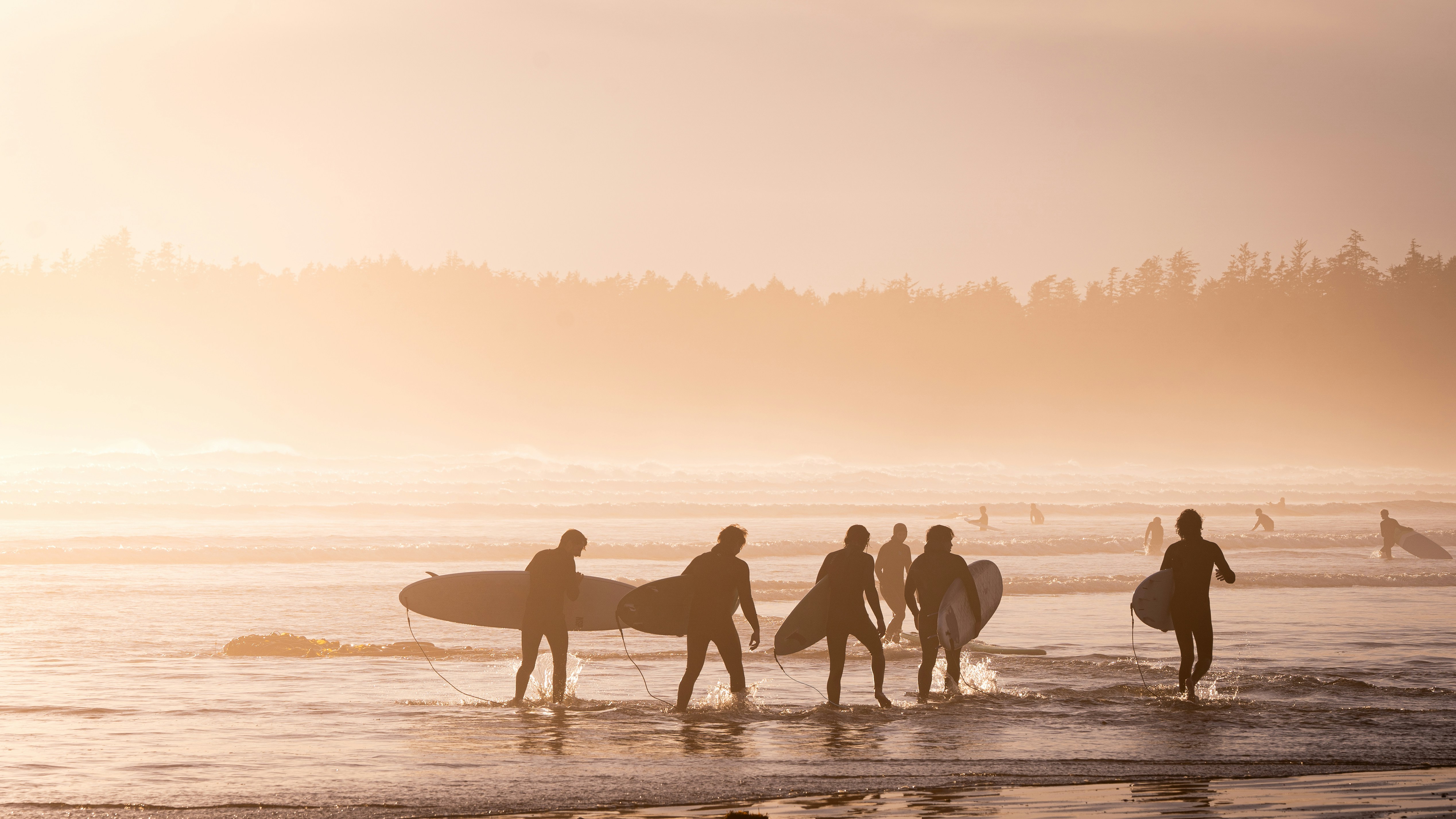 Photo by kayvanmazhar