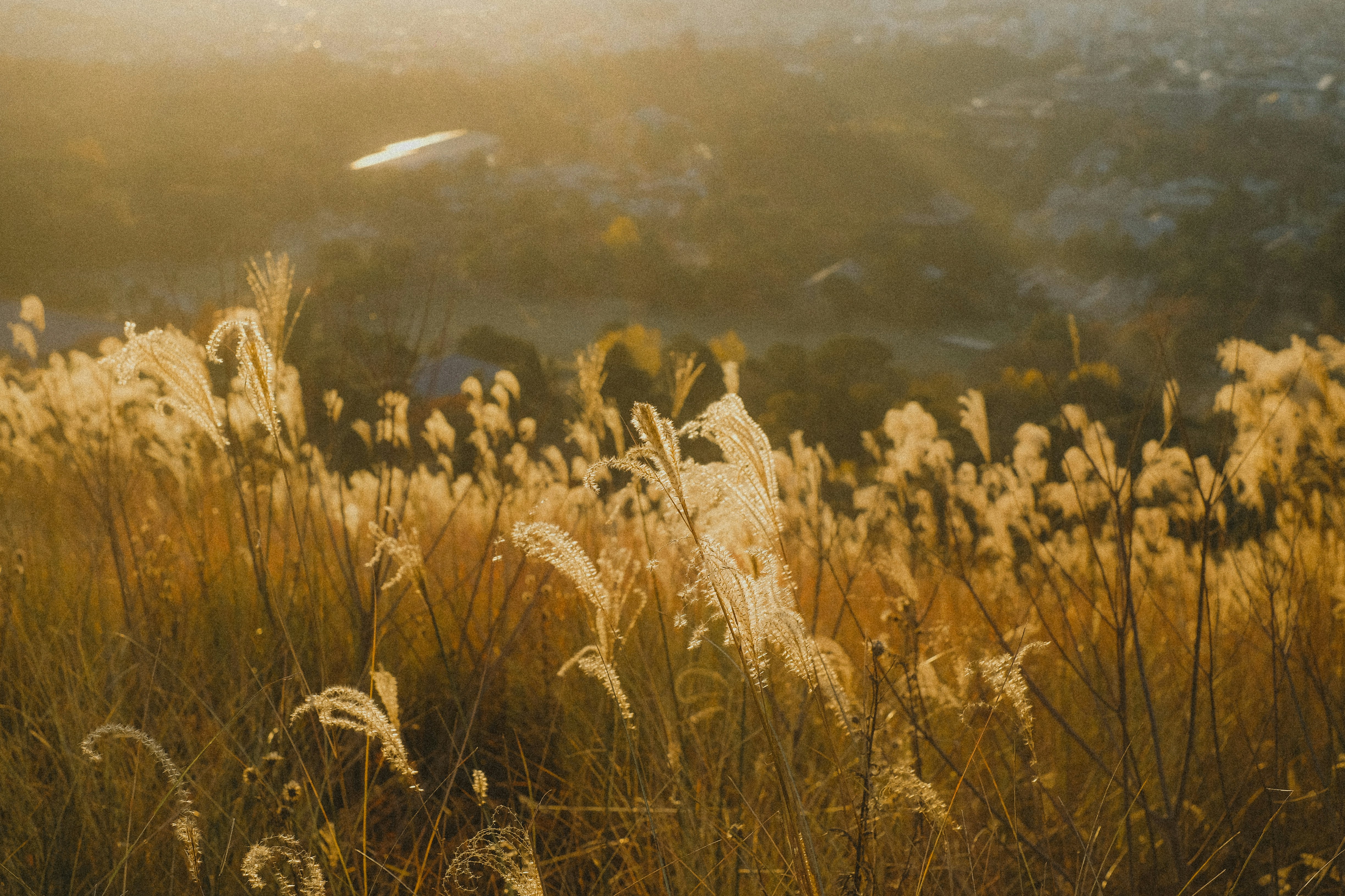 Photo by alicharmant