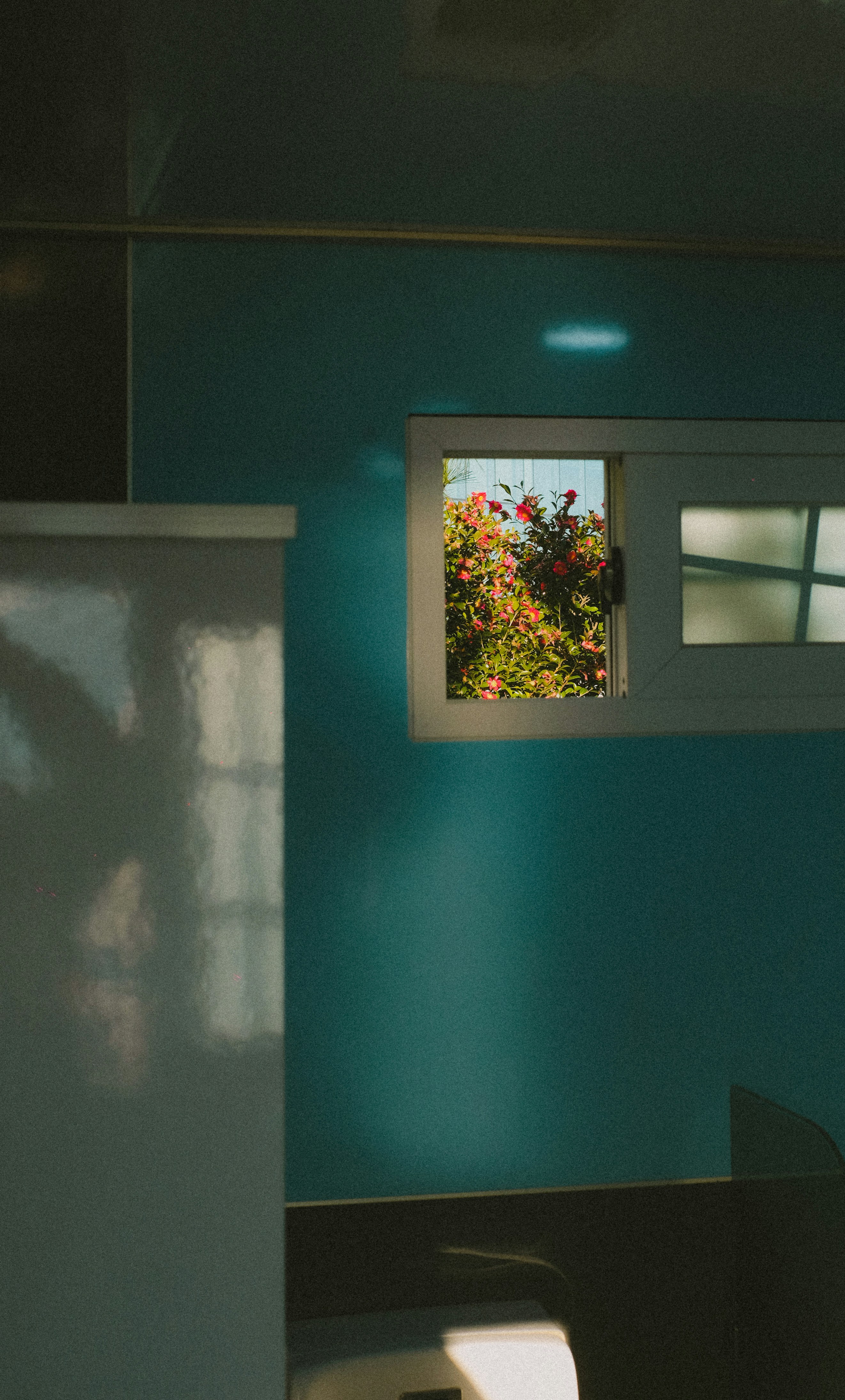 Photo by alicharmant