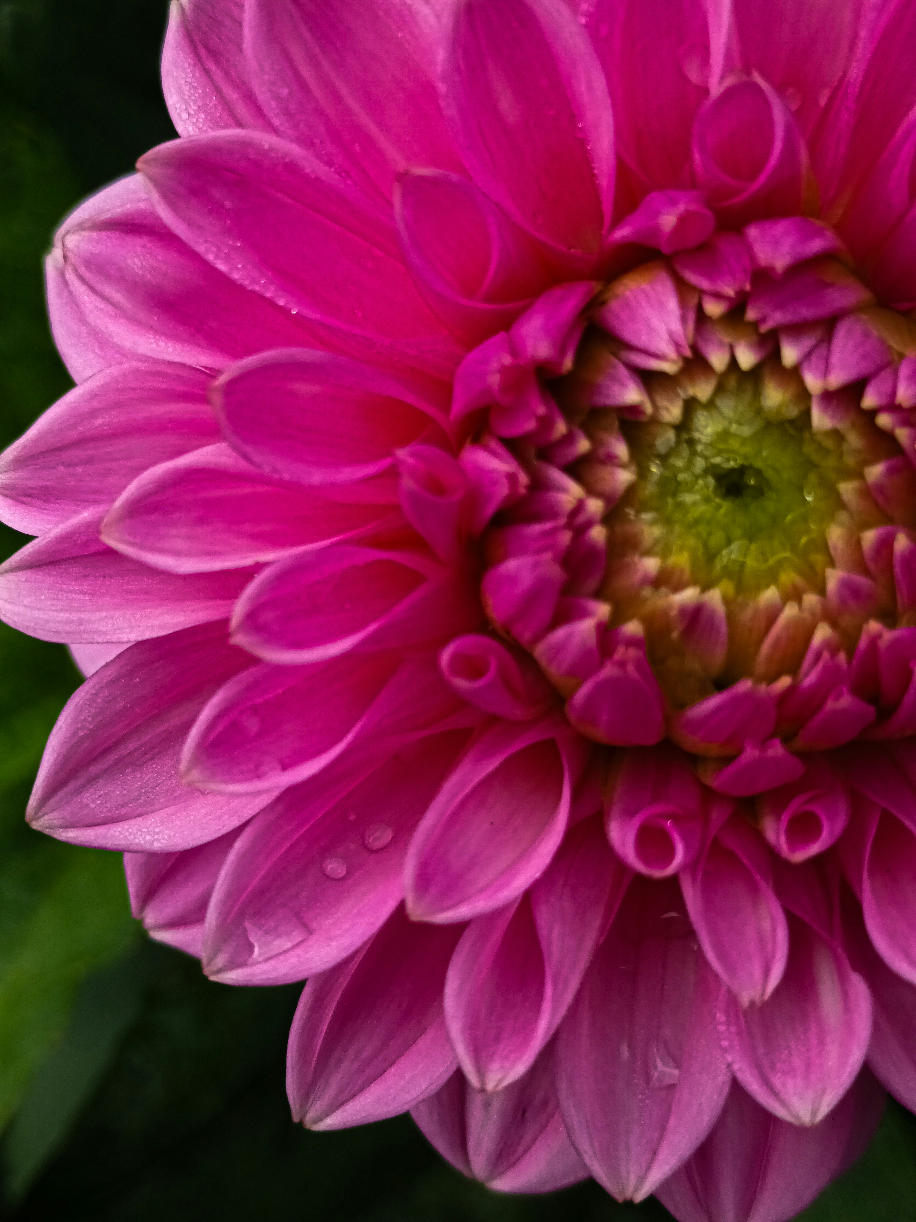 Photo by barbara_light