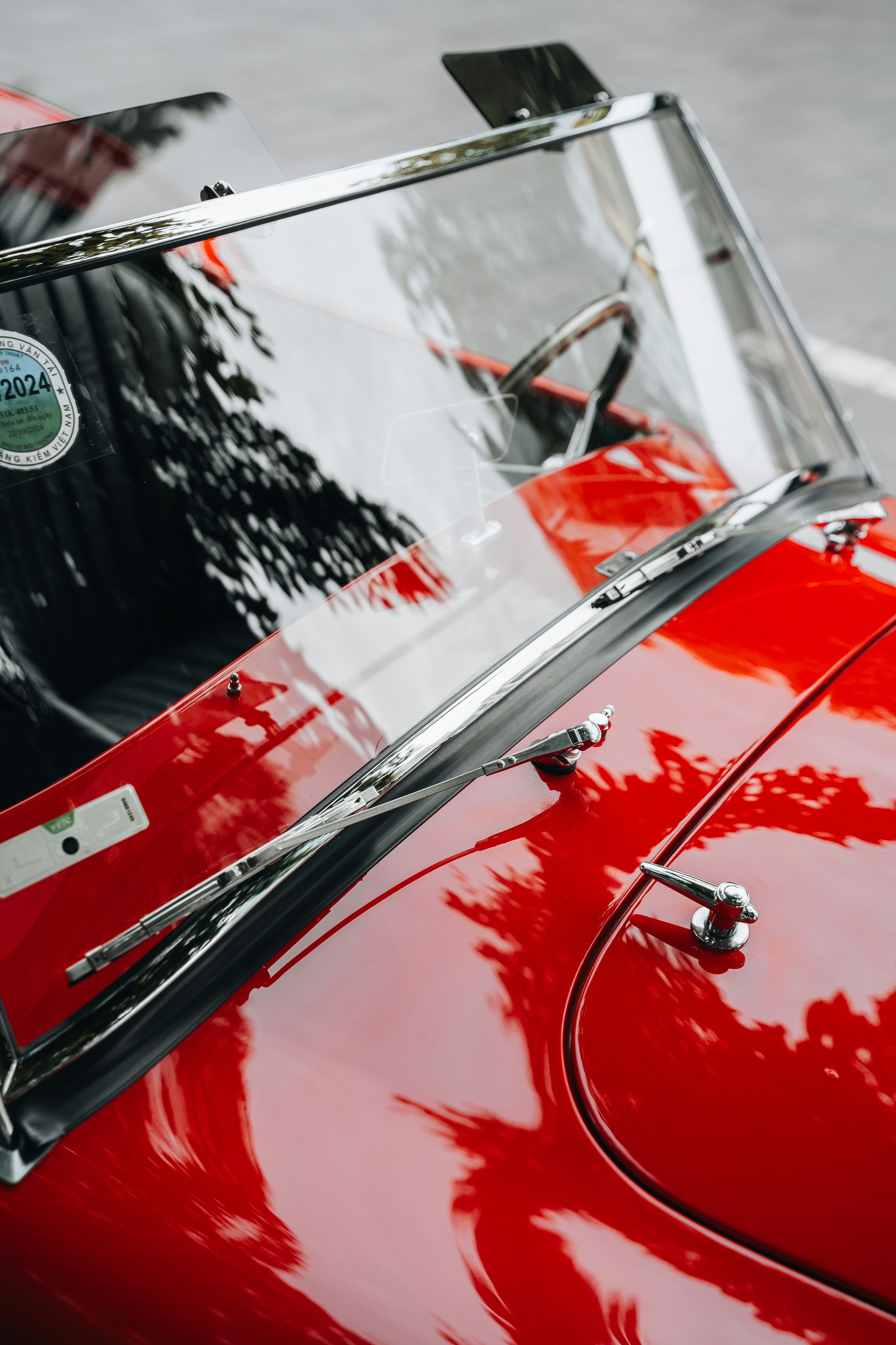 Photo by chuchu123456