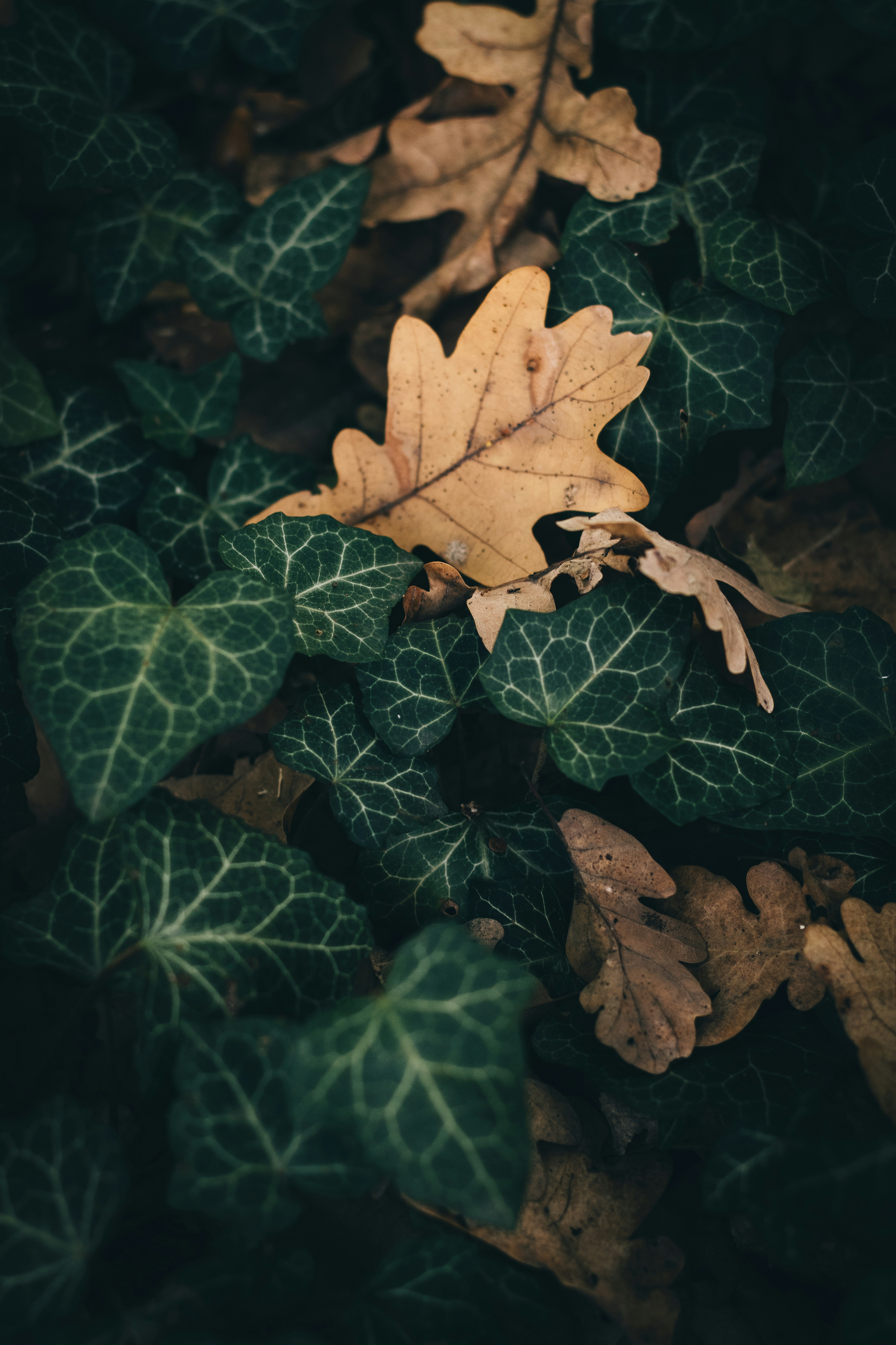 Photo by tomtks