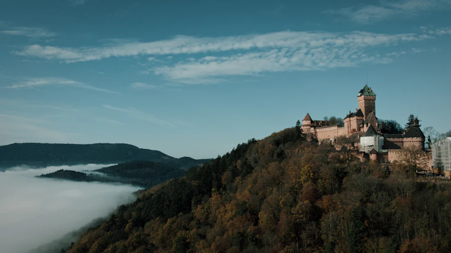 Haut-Koenigsbourg