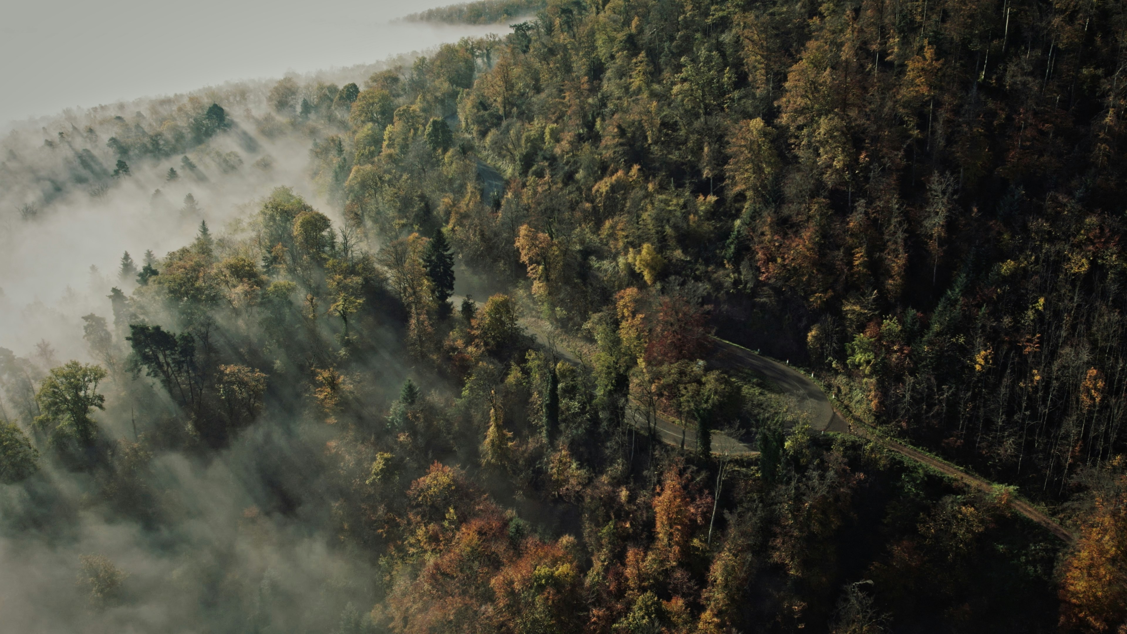 Photo by juliengoettelmann