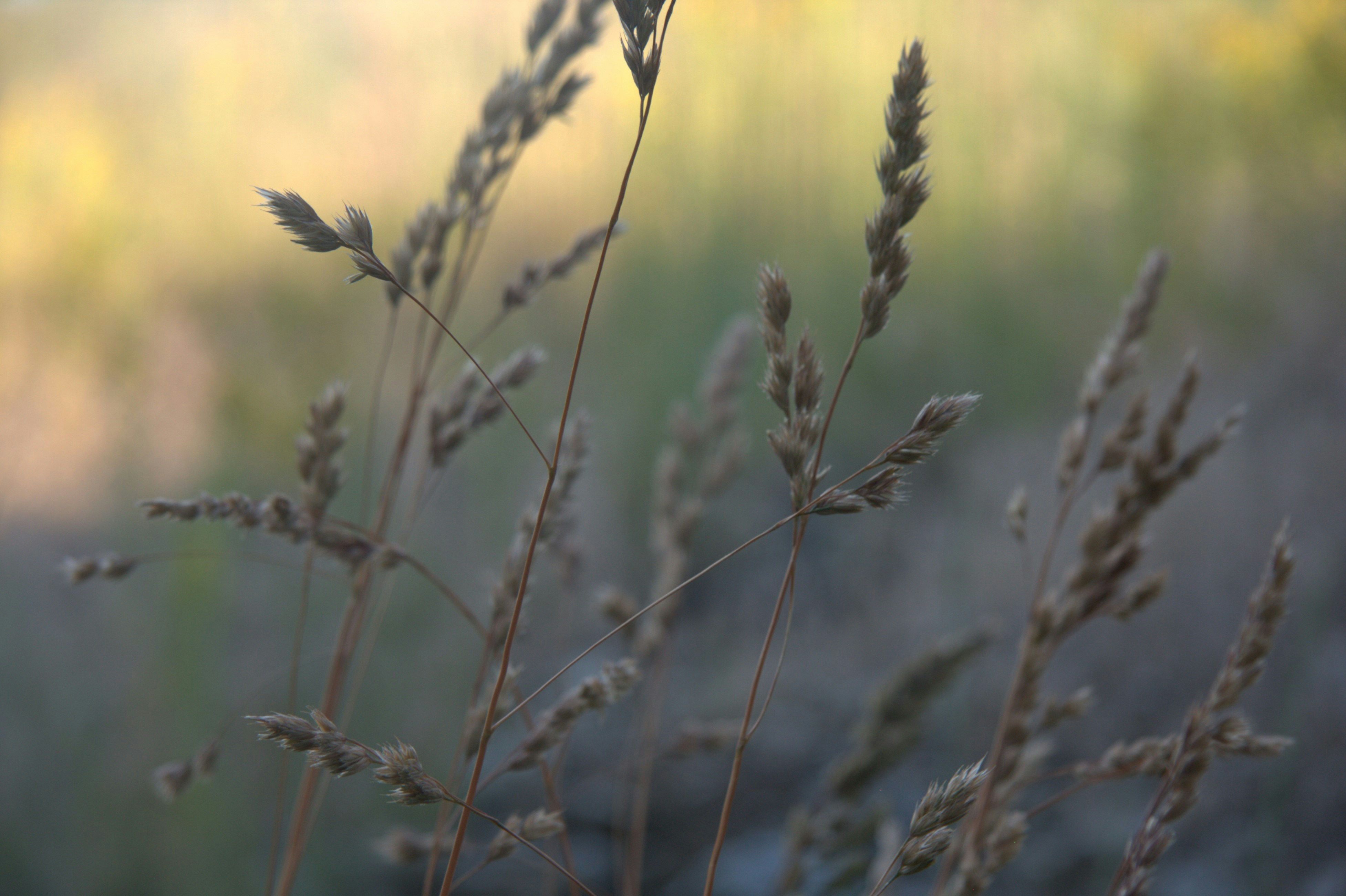 Photo by a_murphy_design