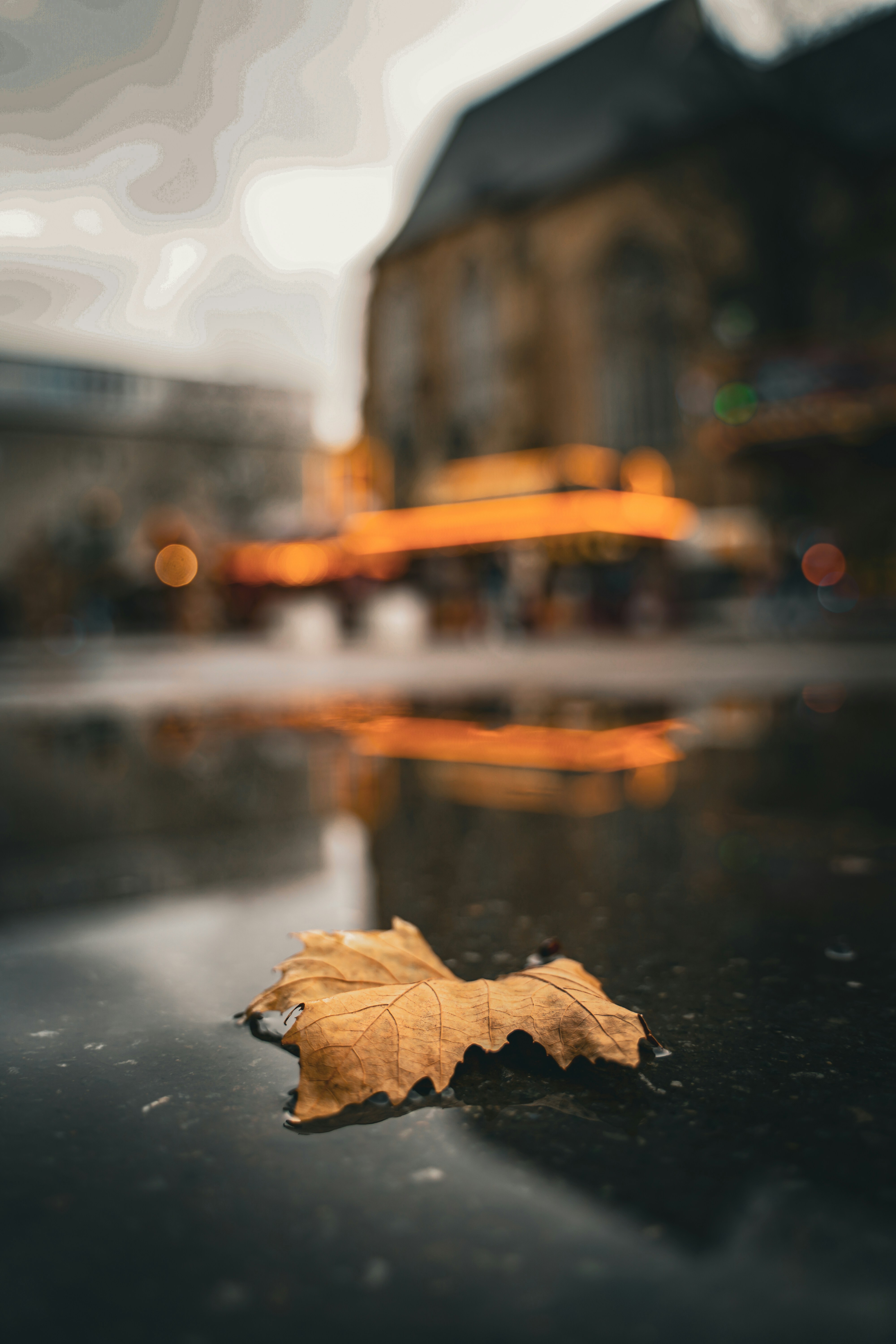 Photo by kishorevaddadi