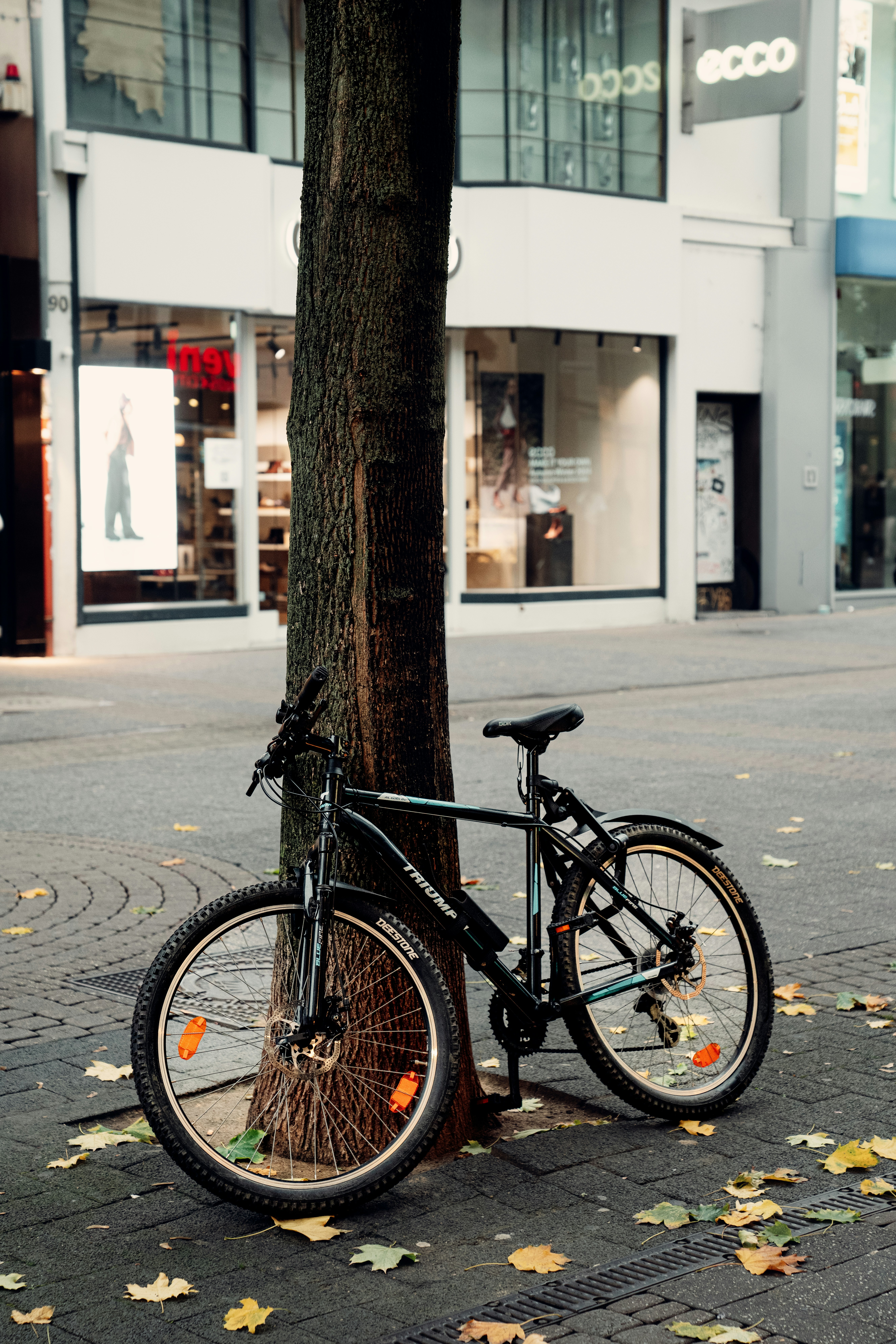 Photo by salahdarwish