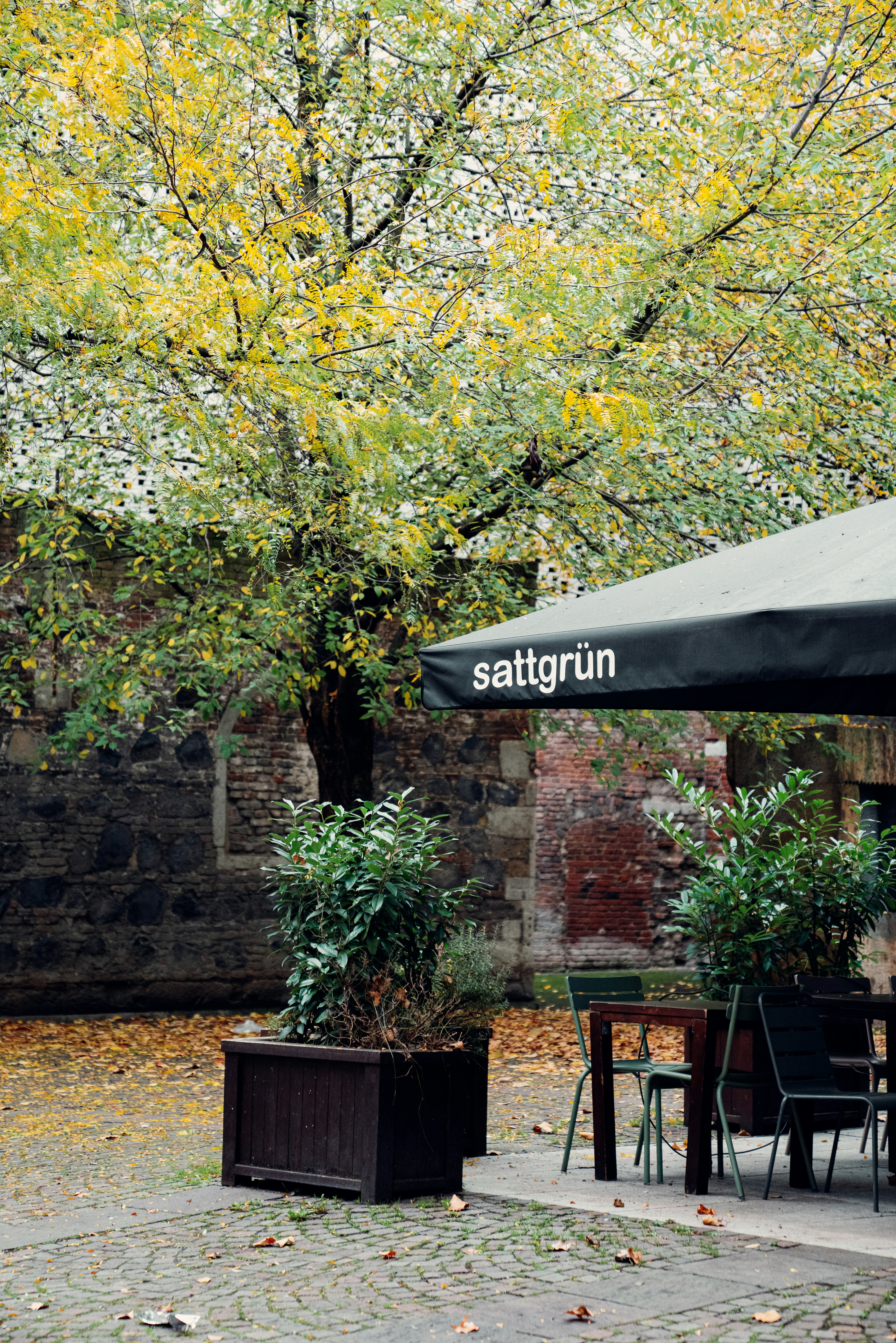 Photo 1731448592138 F4425507c94a?ixid=M3w0MzUxNjF8MHwxfHNlYXJjaHwzfHxjb3p5JTIwc2VhdGluZ3xlbnwwfHx8fDE3NTMxMjUwOTV8MA&ixlib=rb 4.1