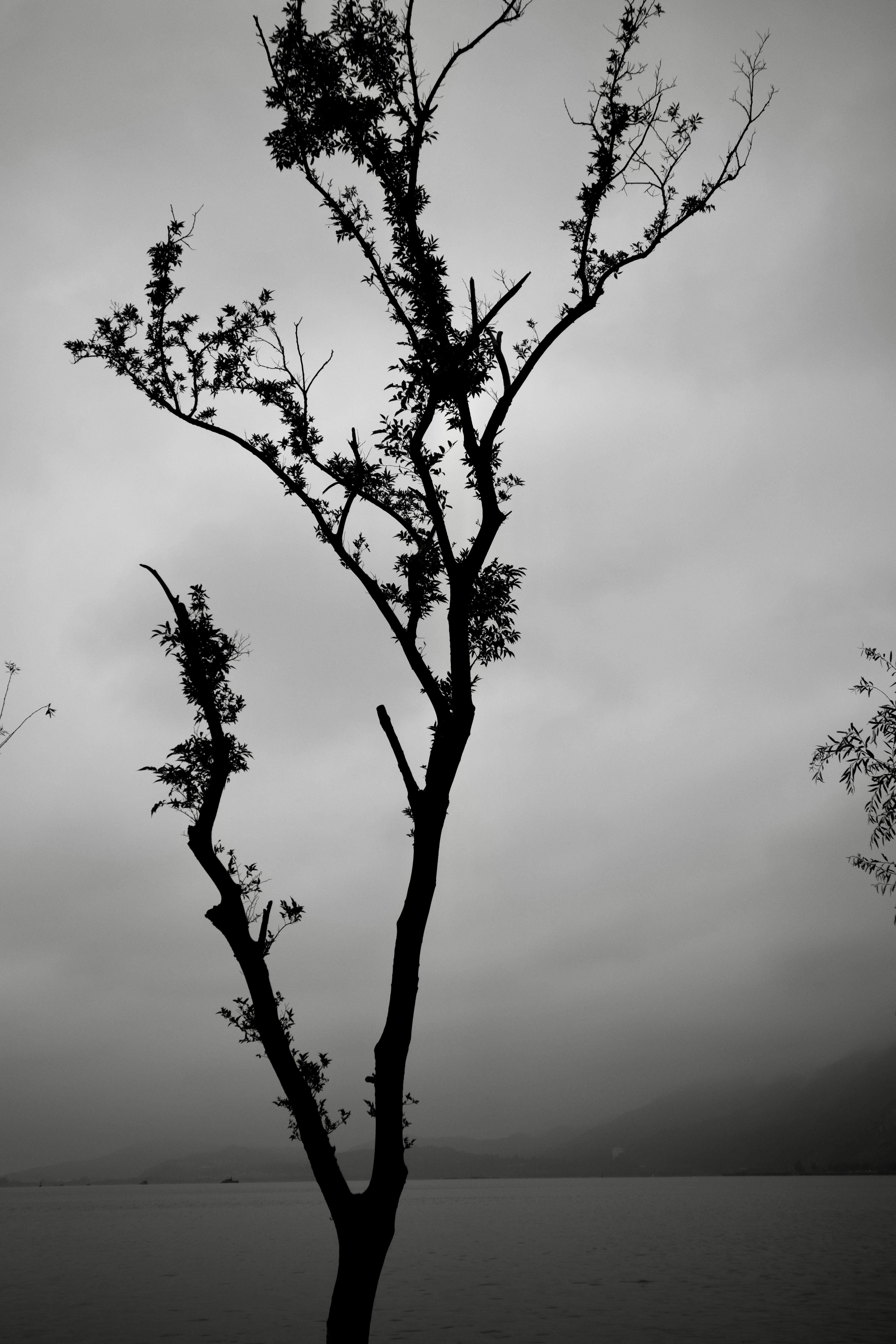 Photo by summerjunwei