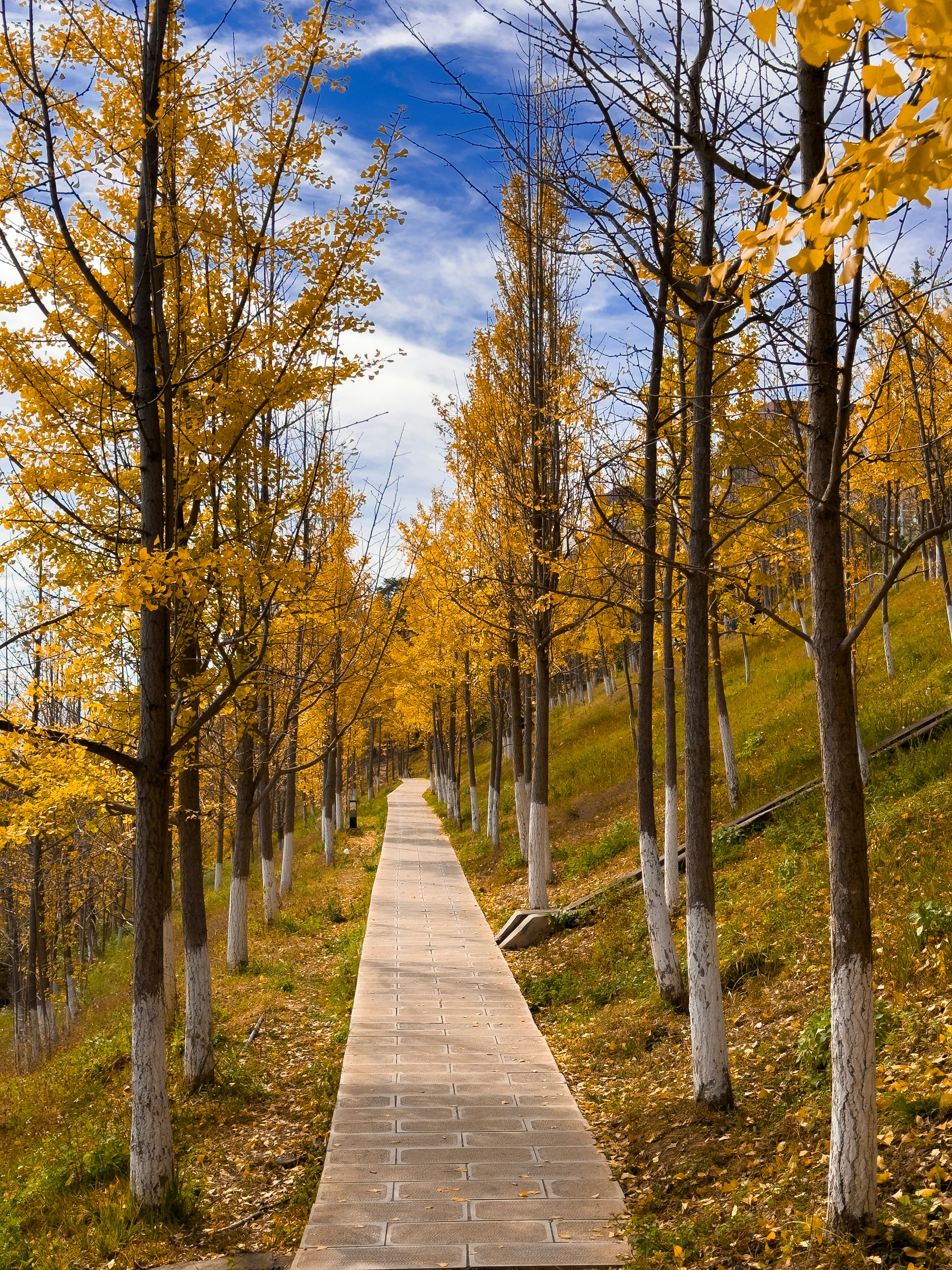 Photo by summerjunwei