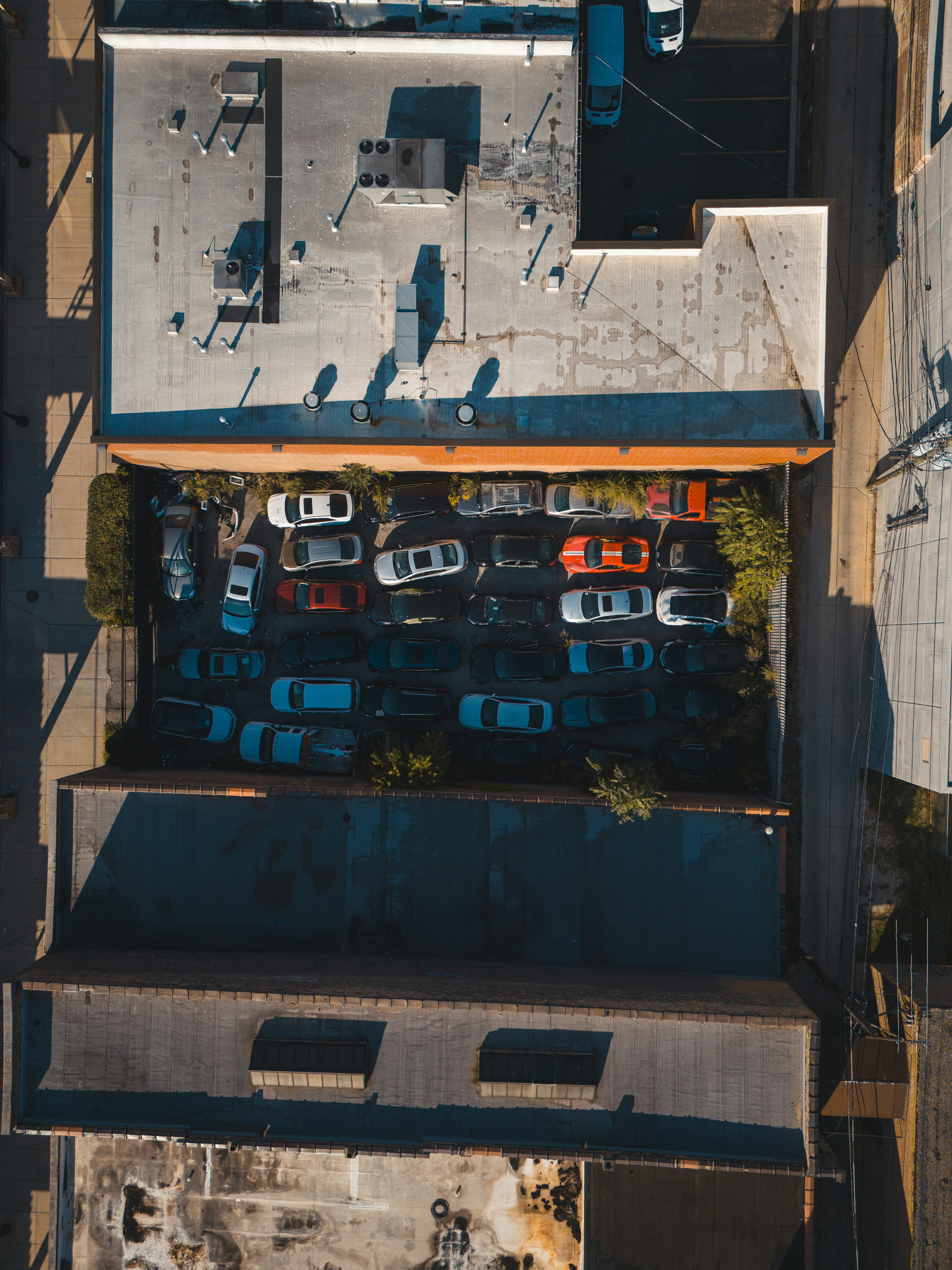 Photo by willianjusten