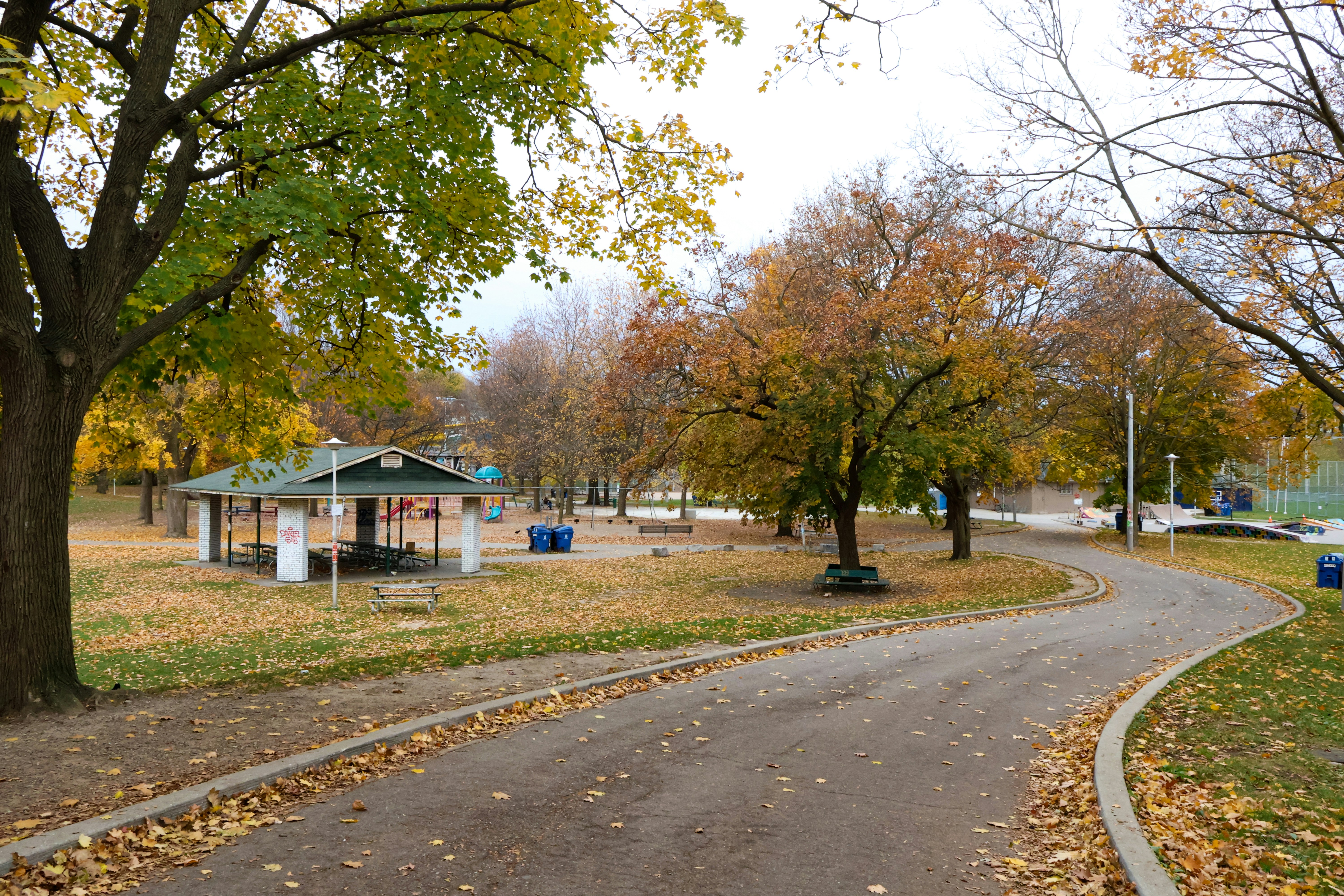 Photo by bruce_great