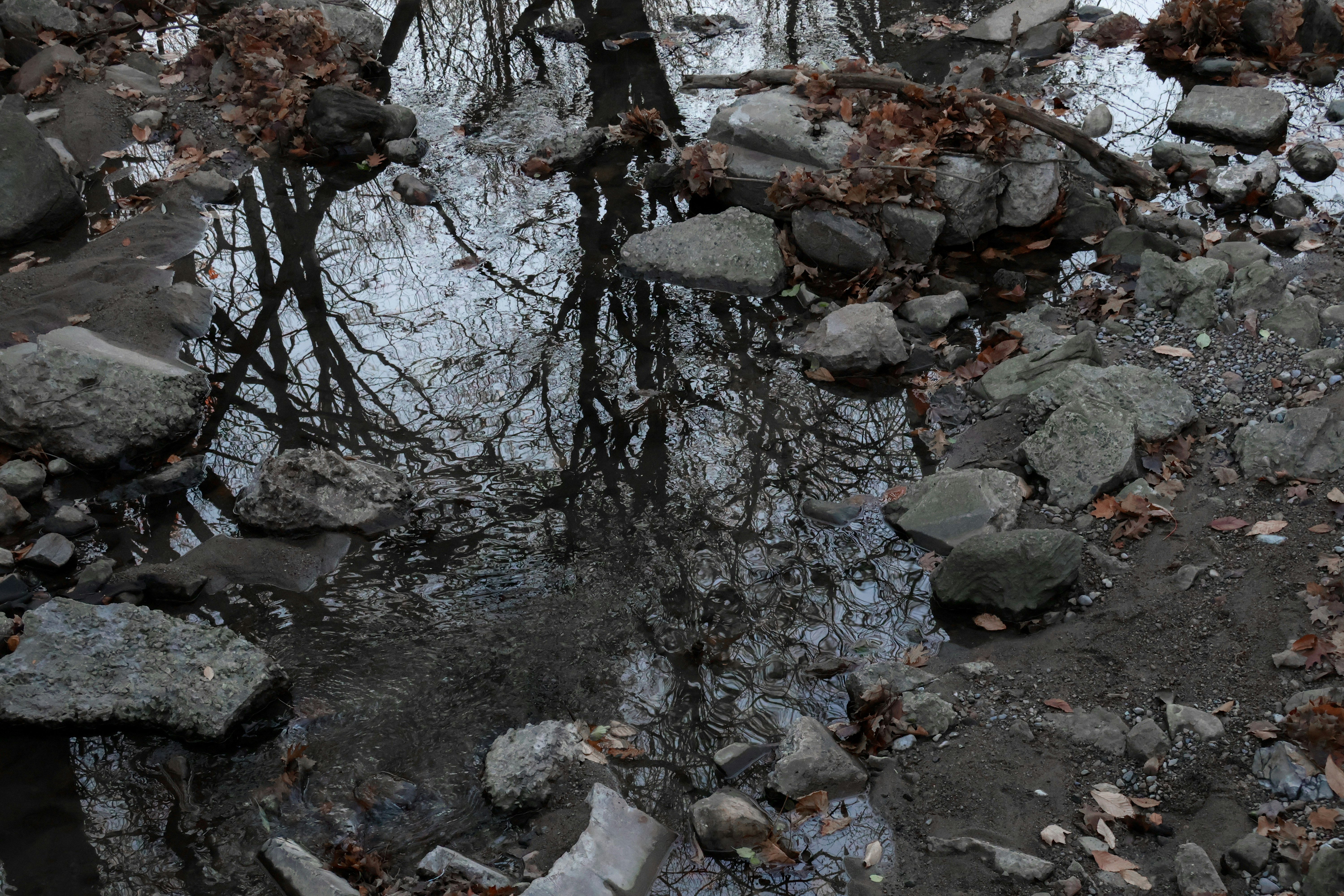 Photo by bruce_great