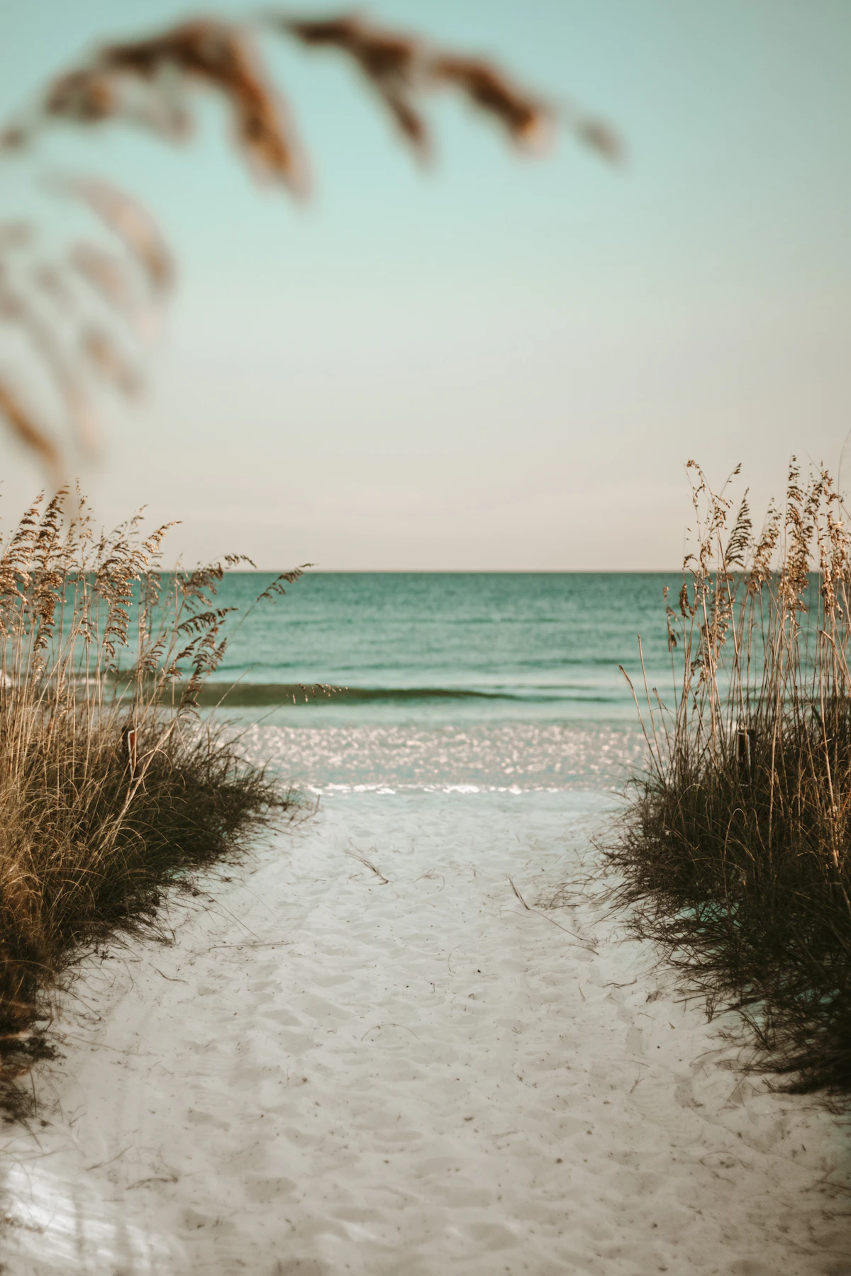 Medicare Advantage Plans in Fort Walton Beach and Destin, Florida (2026)