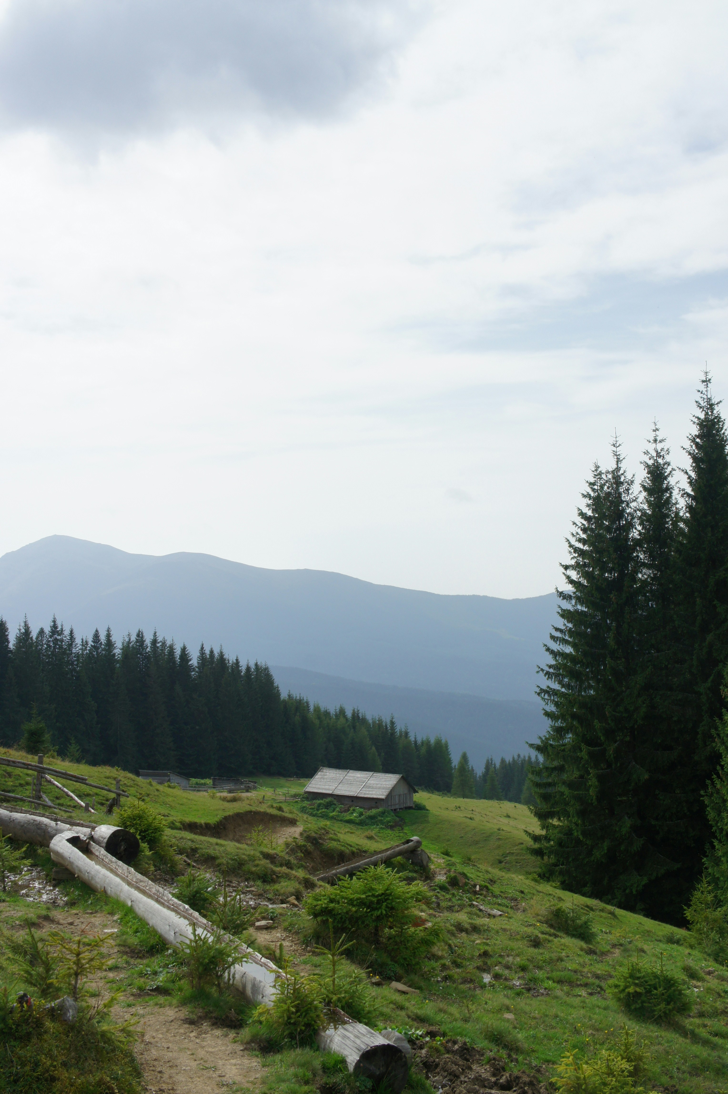 Photo by juliatsuckanova