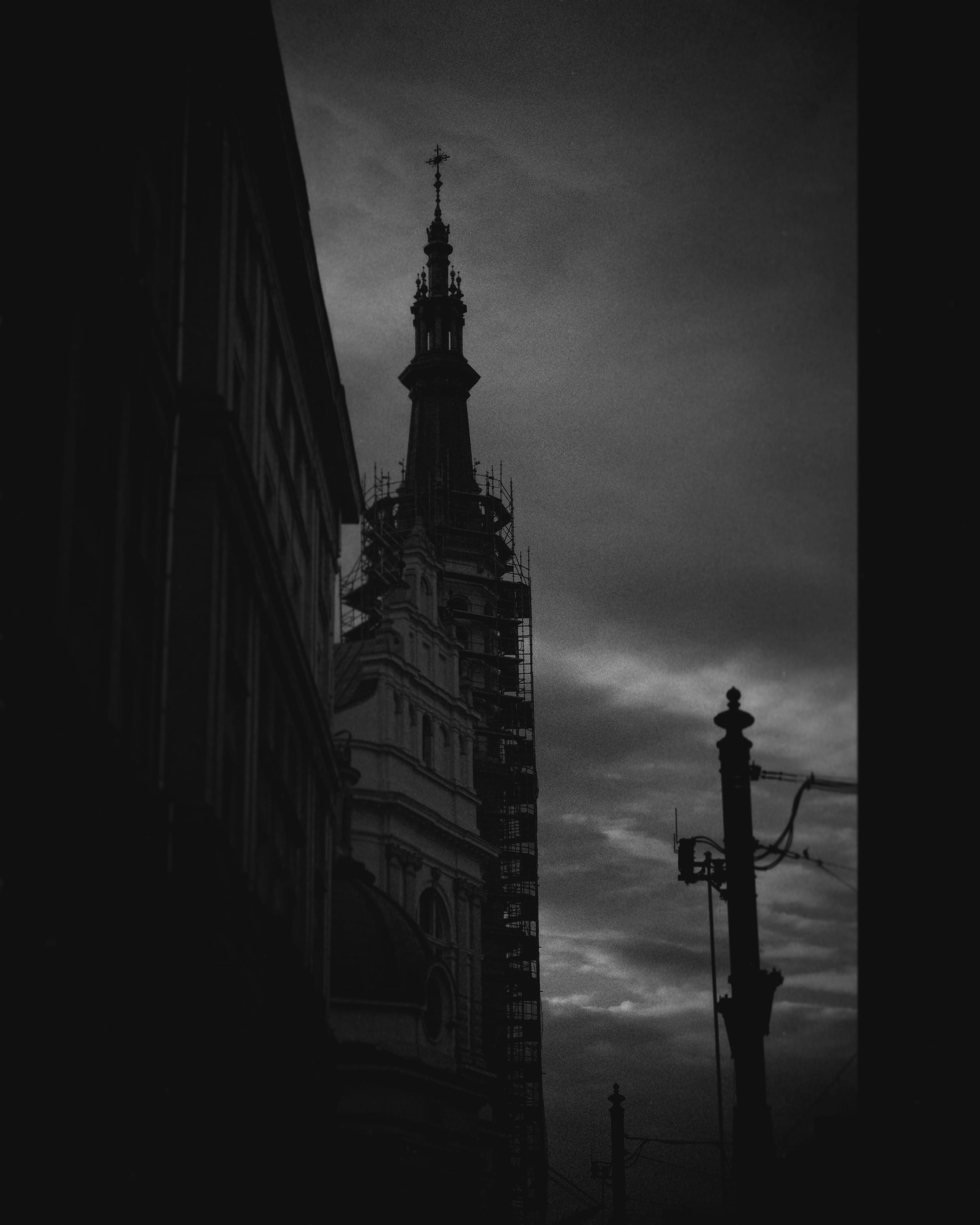 Photo by showy_images