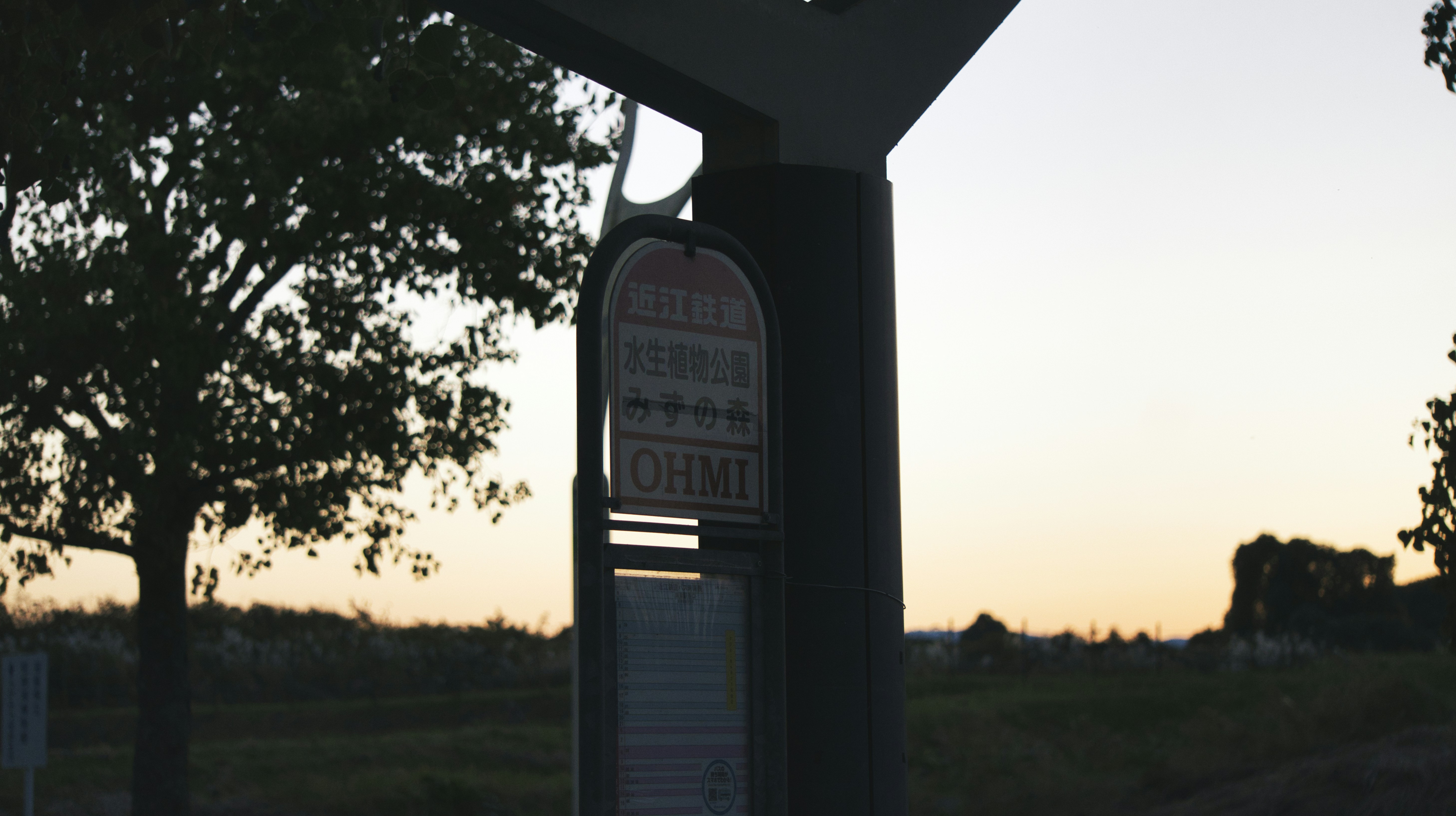 Elektric Car Guide 2025: Costs, Range, Charging & Used Deals