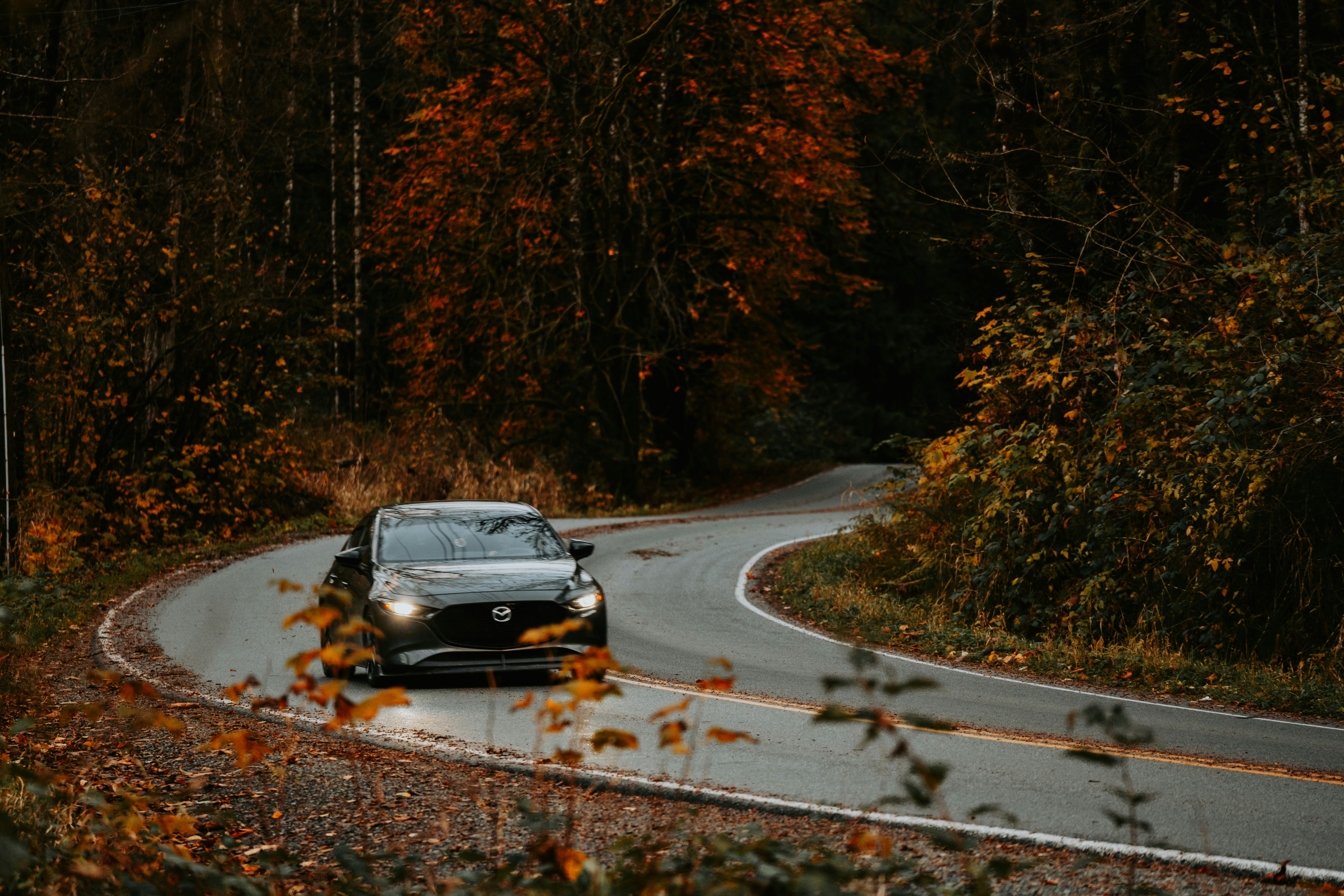 Photo by bylukemiller