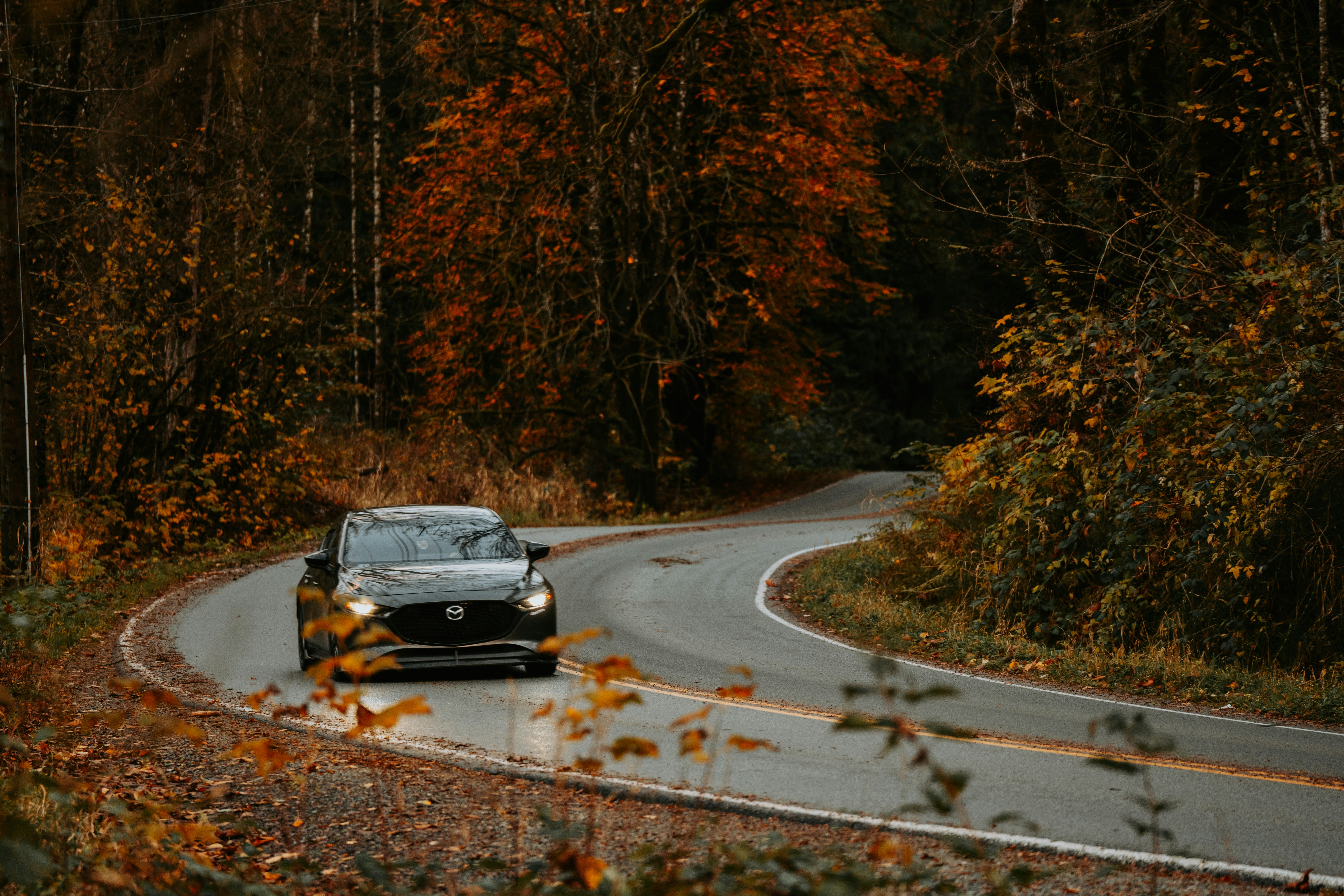 Photo by bylukemiller