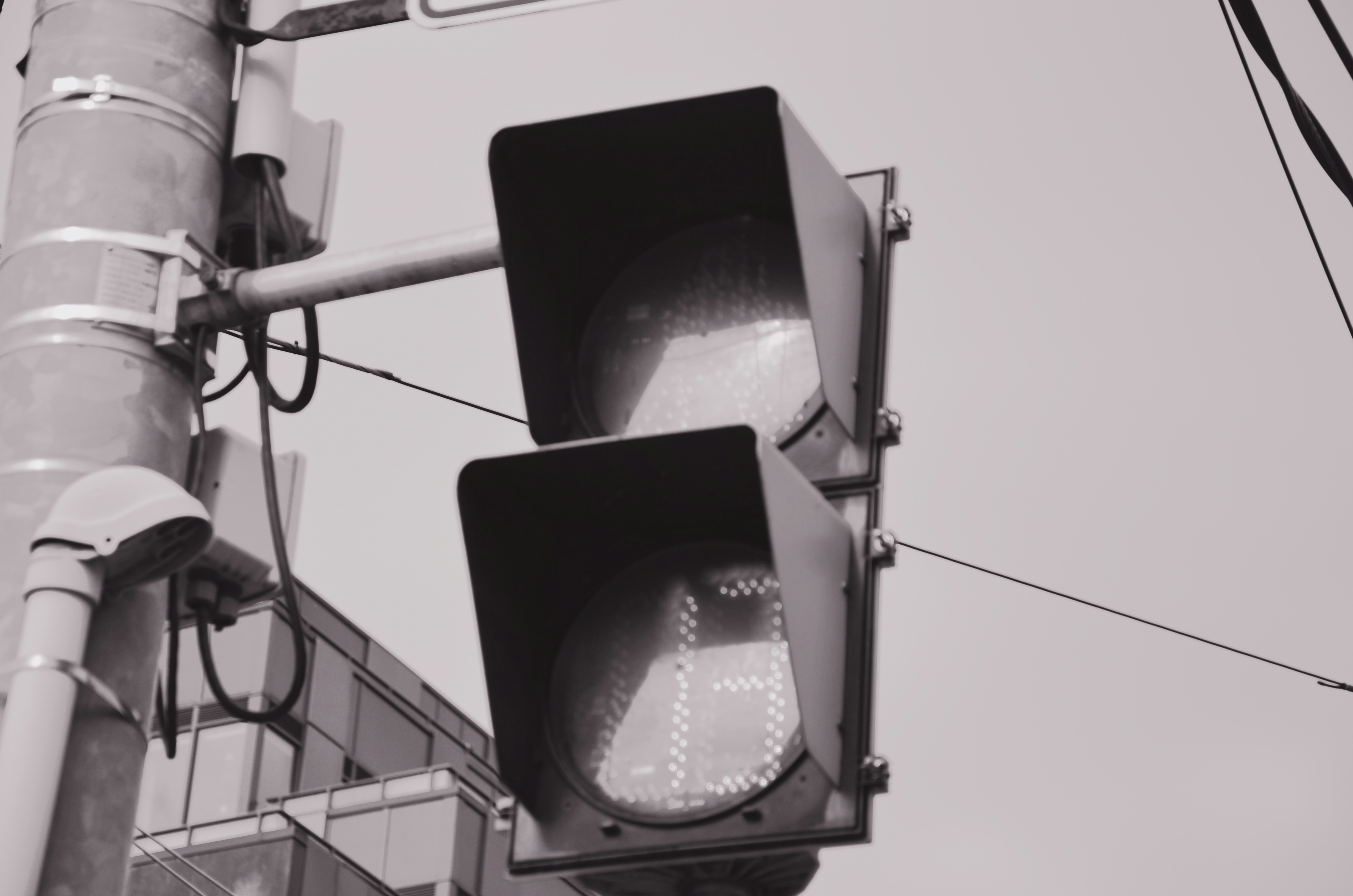 Photo by patroltheark