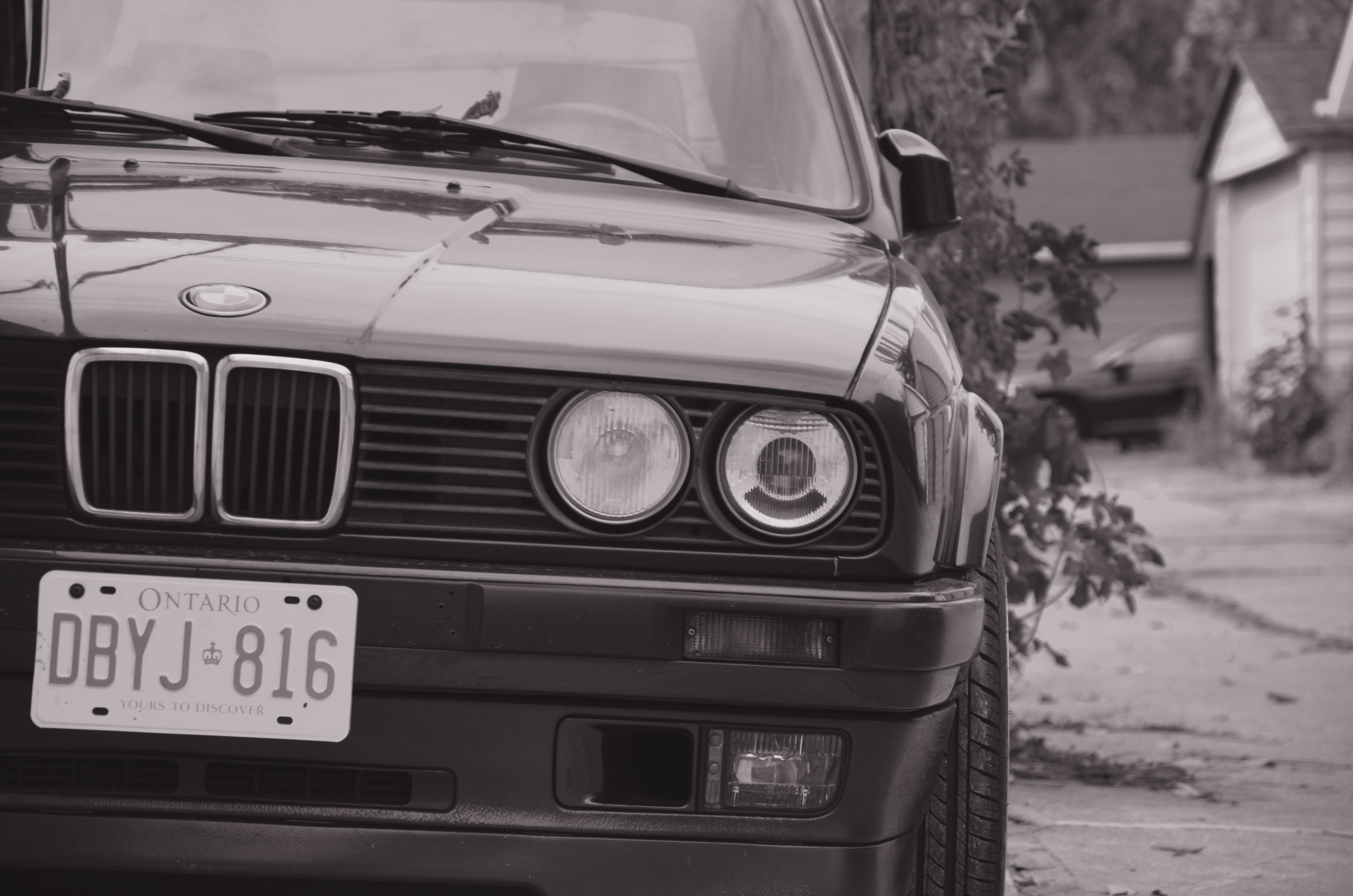 Photo by patroltheark