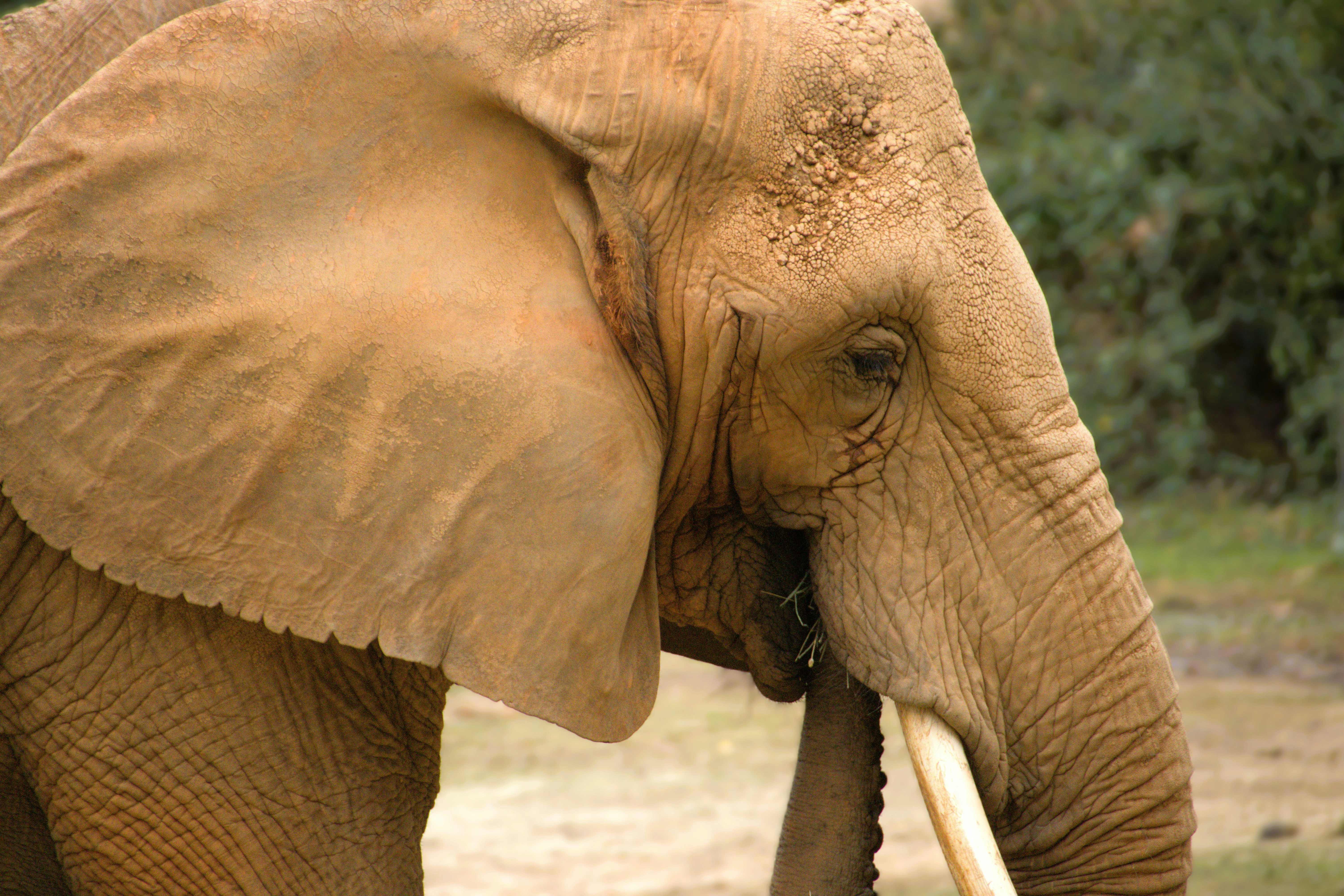 Photo by akshatjisme