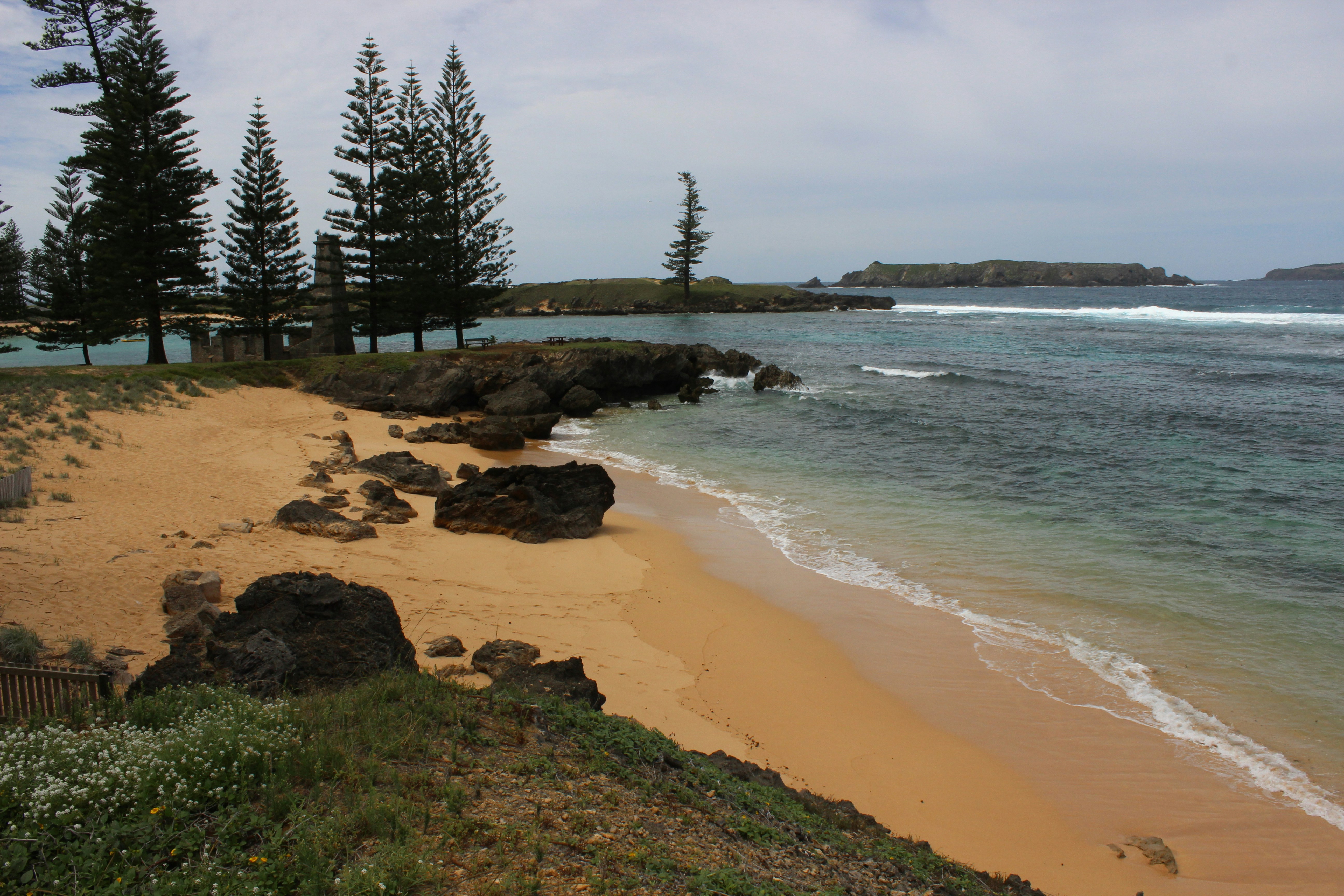A sandy beach next to the ocean with trees in the background