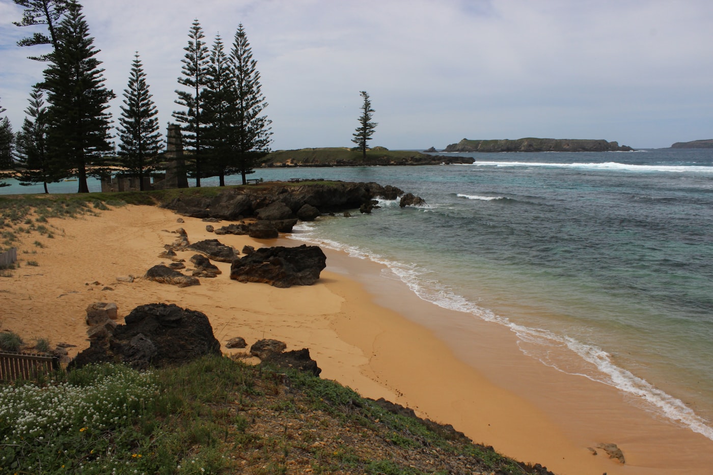Norfolk Island coastline with Norfolk pines