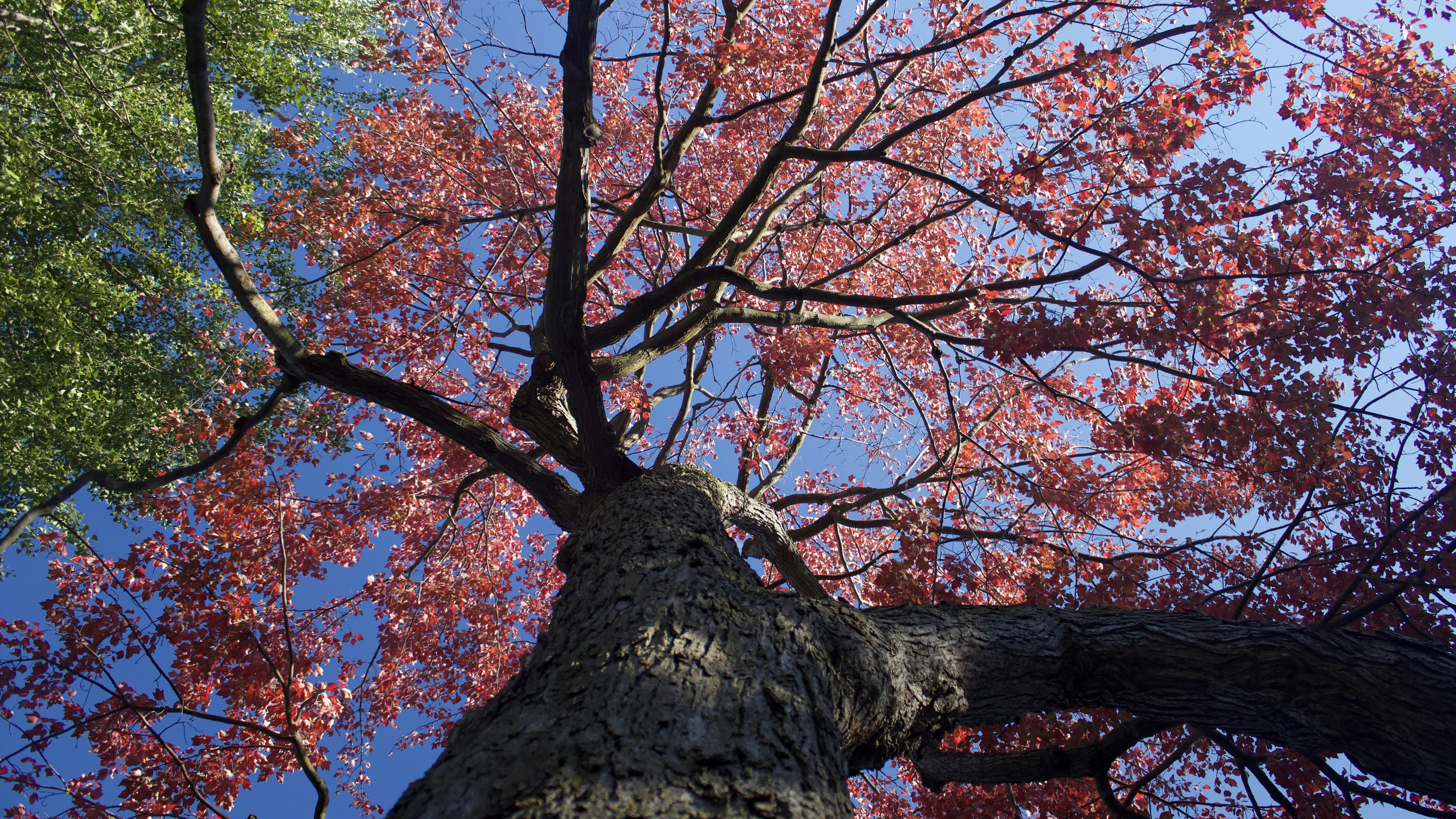 Photo by naagindesignhouse