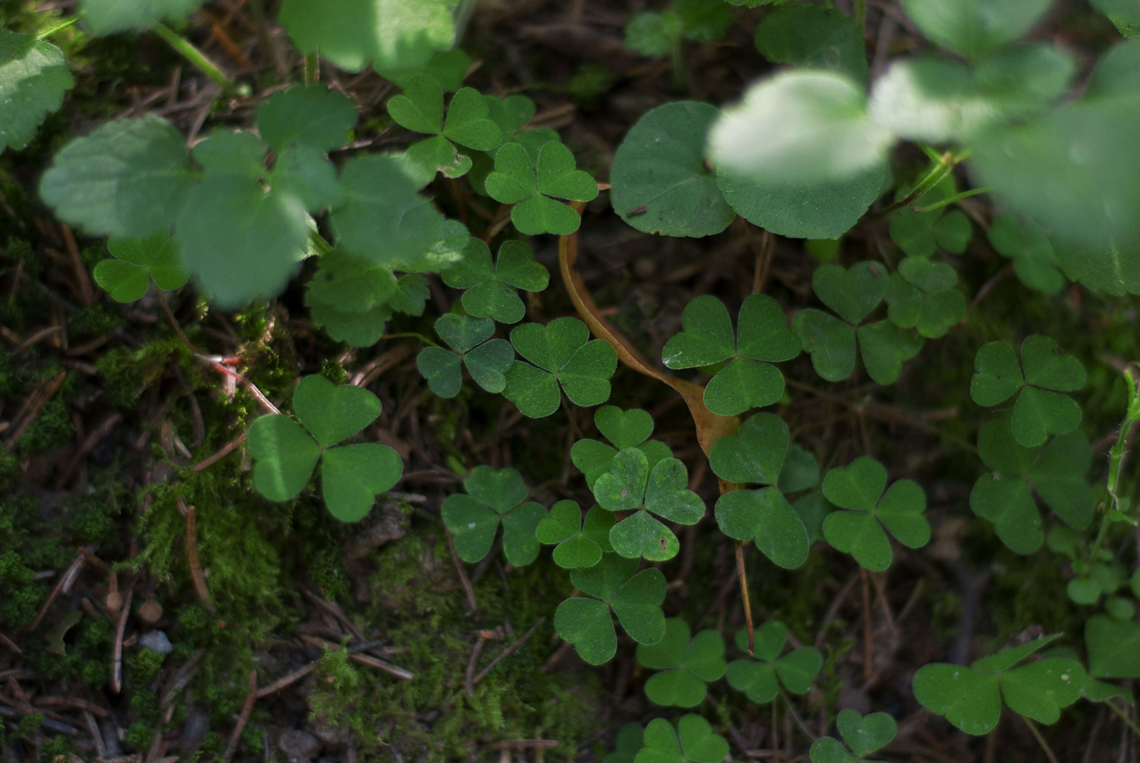 Photo by kovalskihelga